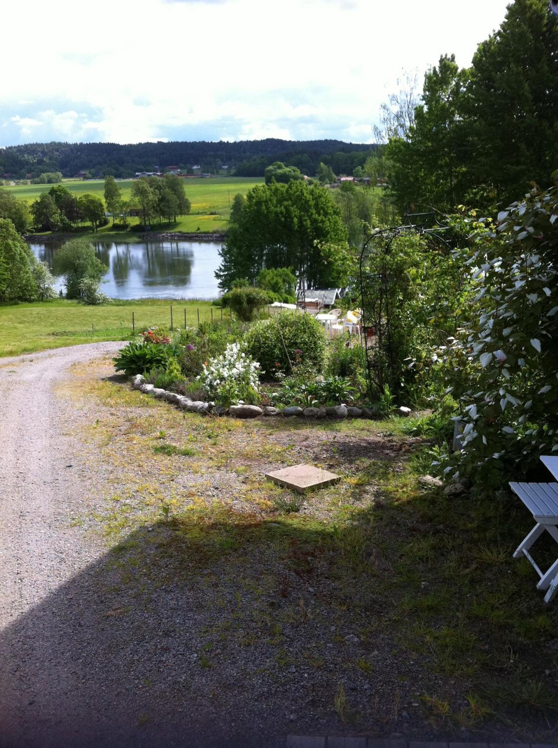 Photo 8