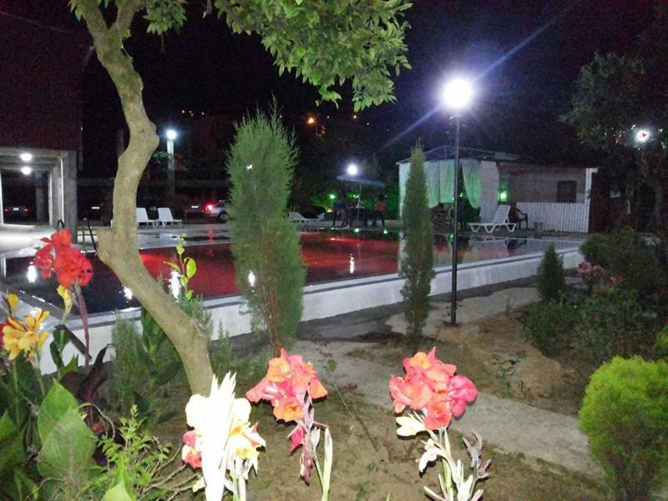 Photo 53