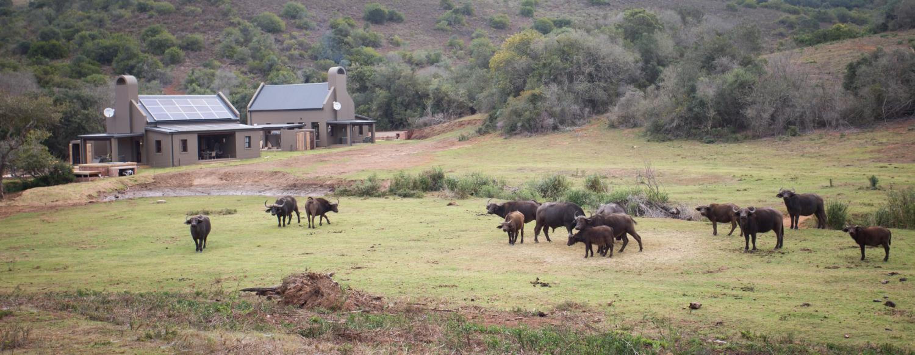 Botlierskop Bush Villas