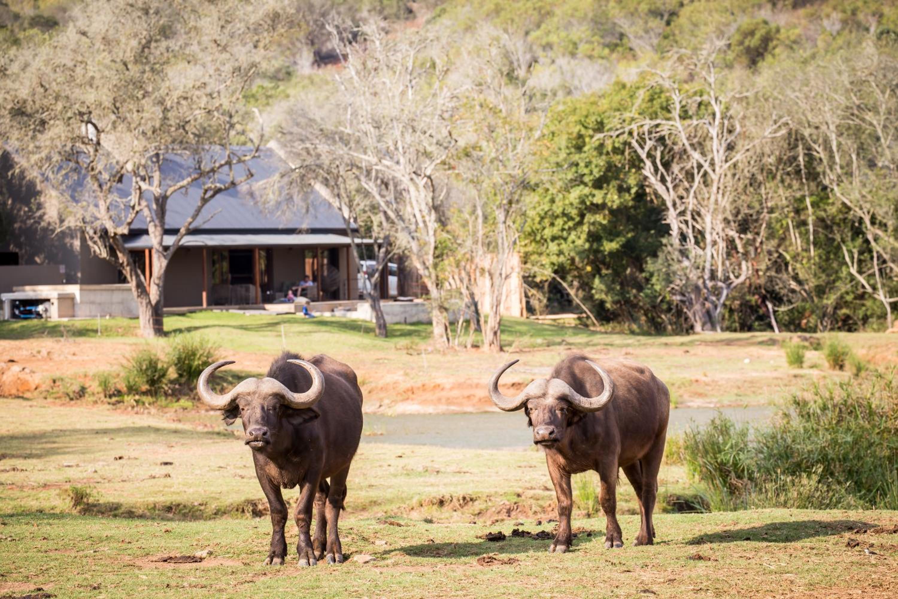 Botlierskop Bush Villas
