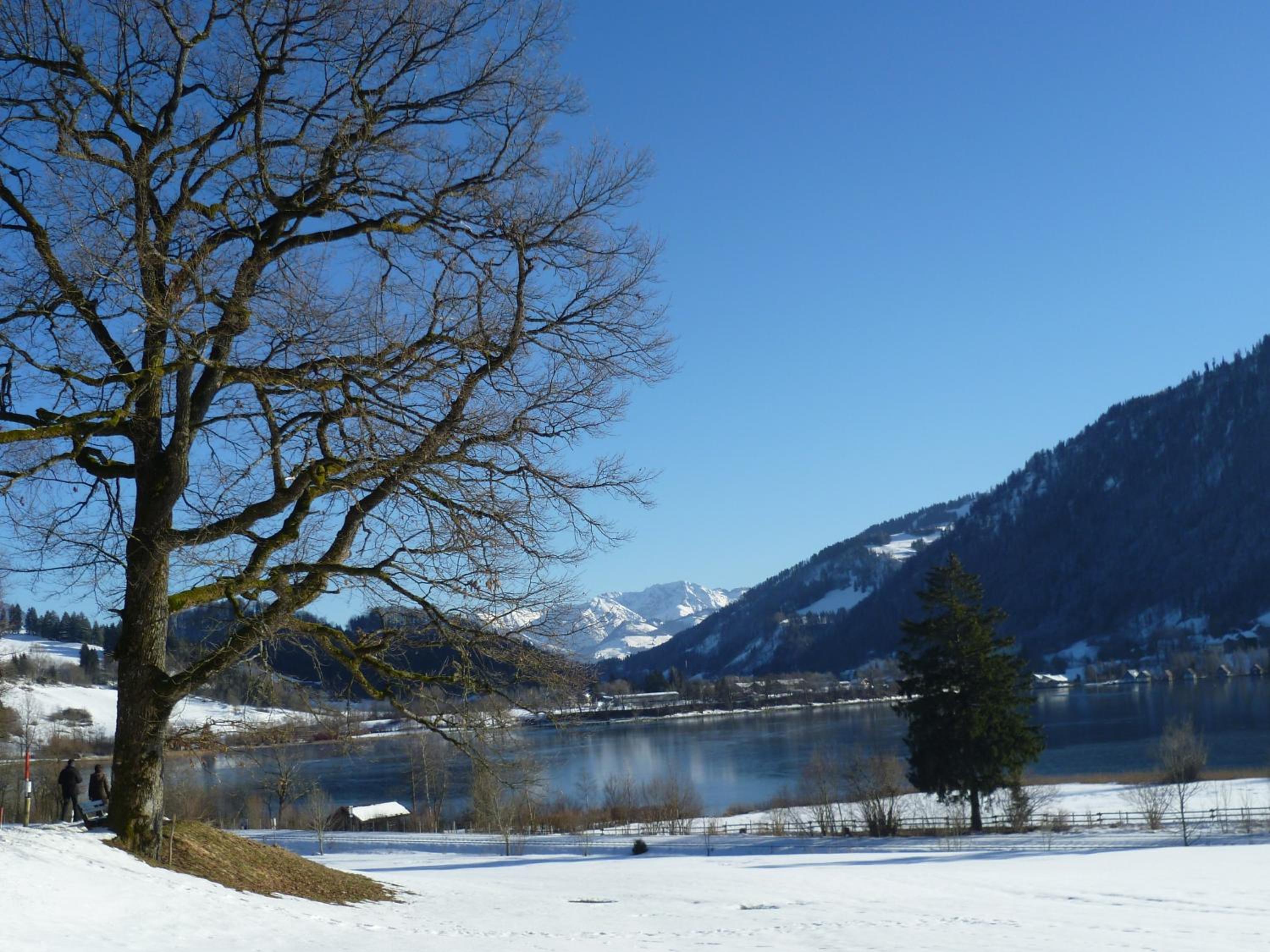 Haus Bergpanorama