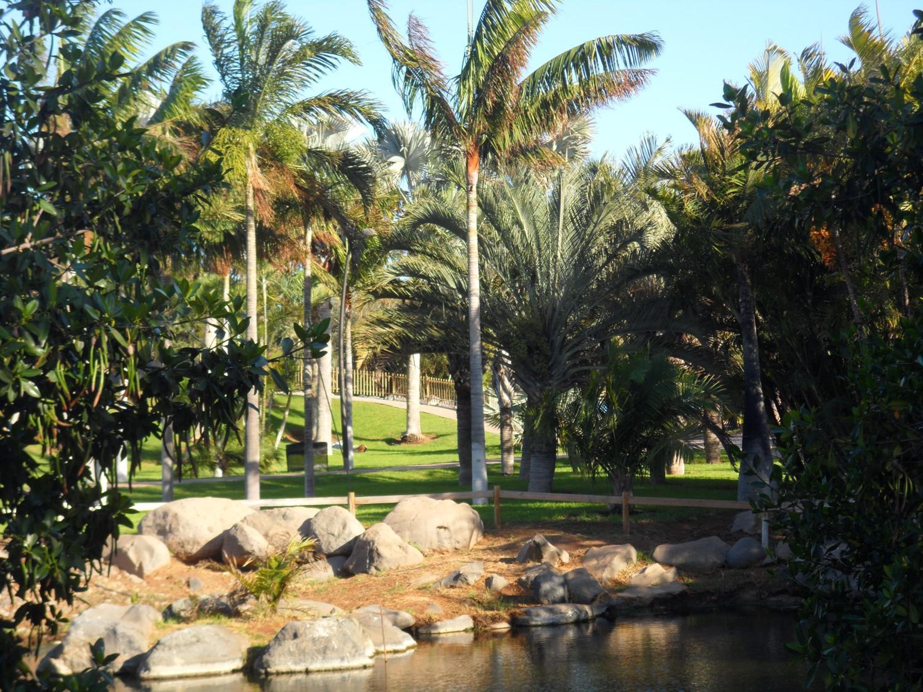 Santa Cruz de Tenerife Vacations - Apartamento Bahia - Property Image 8