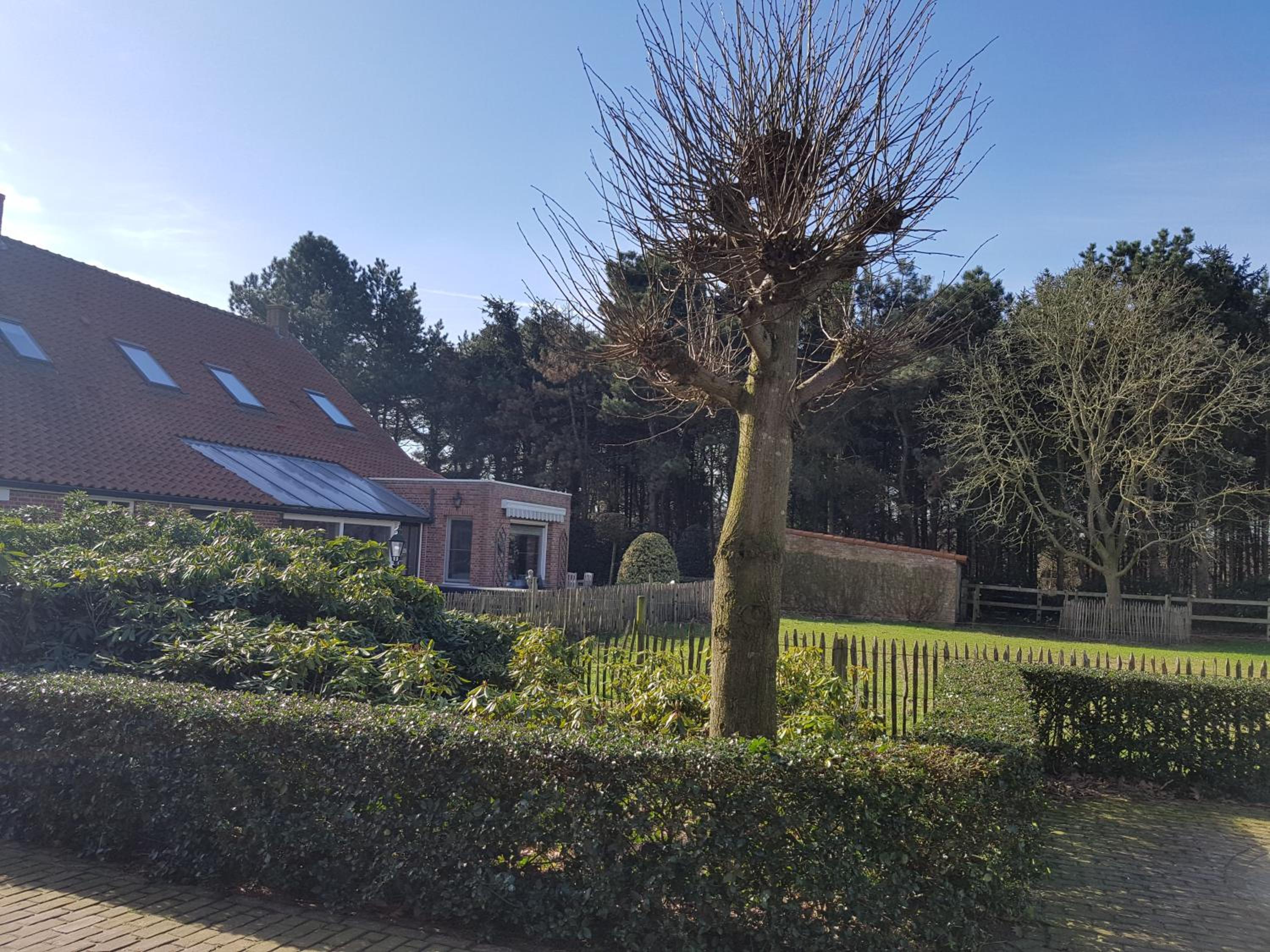 B&B Bergenhof