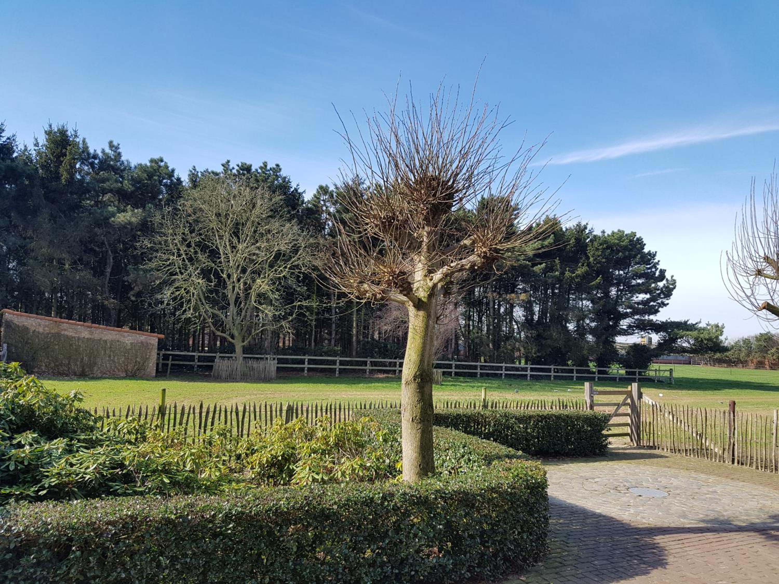 B&B Bergenhof