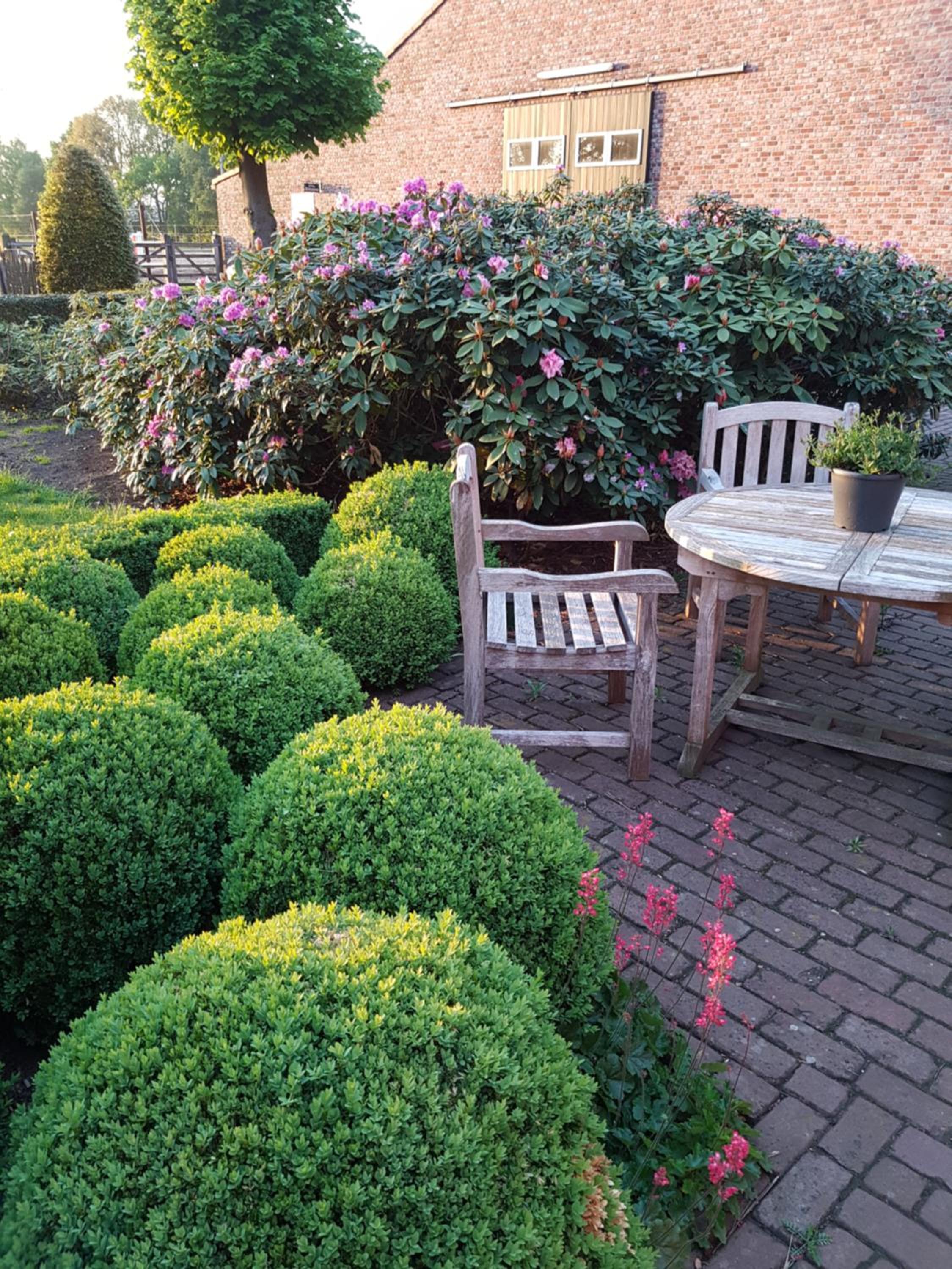 B&B Bergenhof