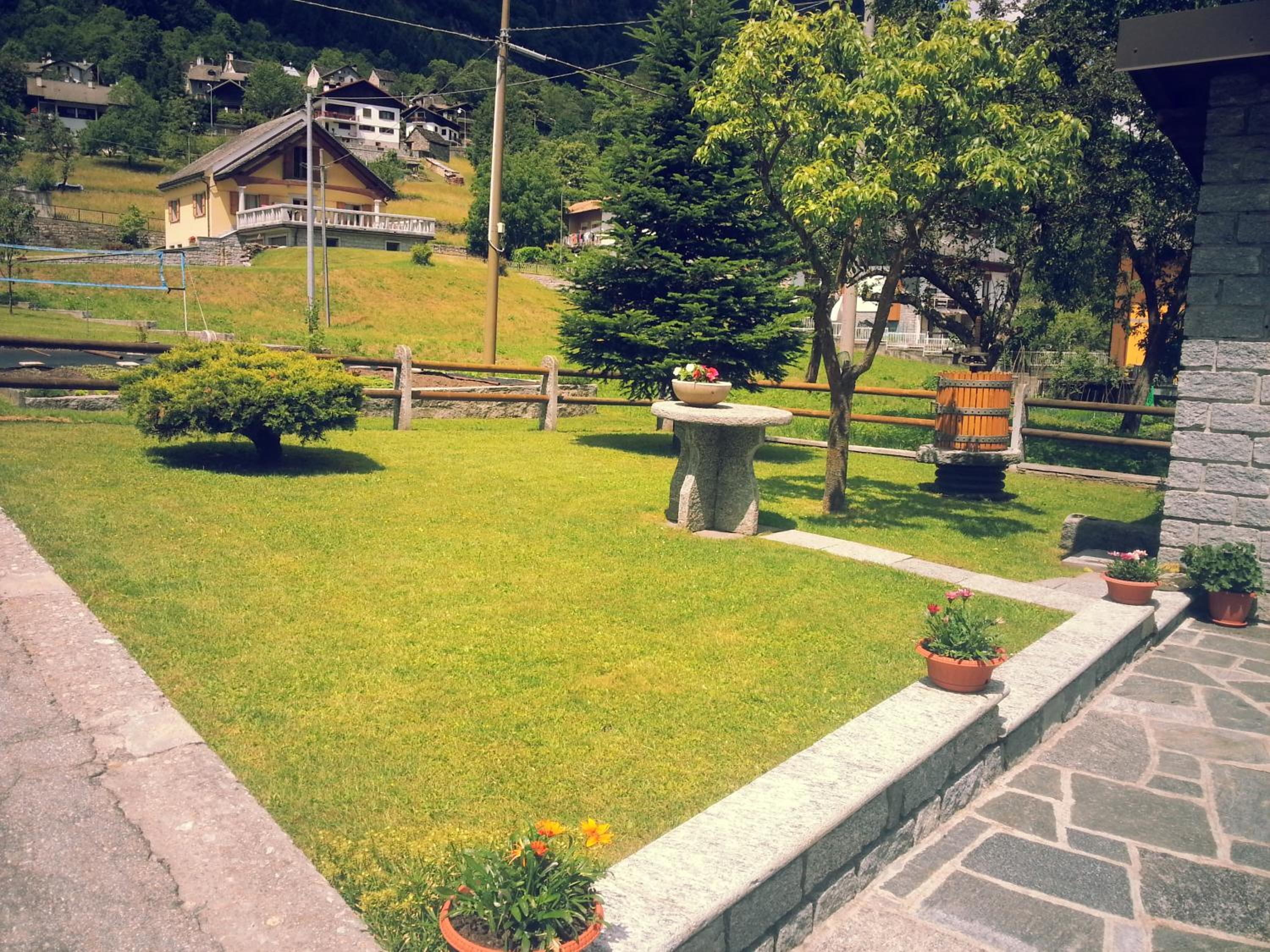 Photo 12