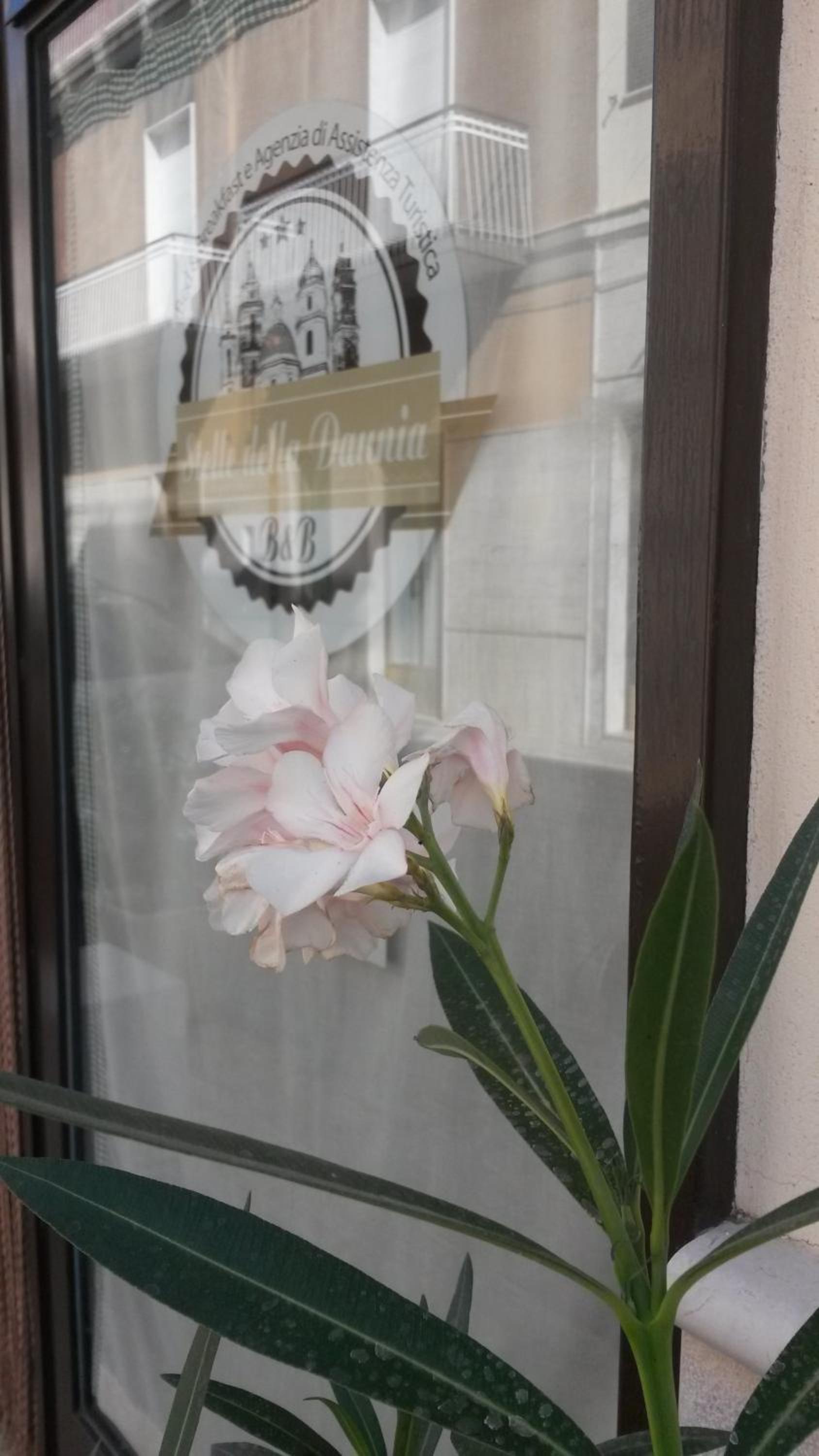 B&B Stelle Della Daunia