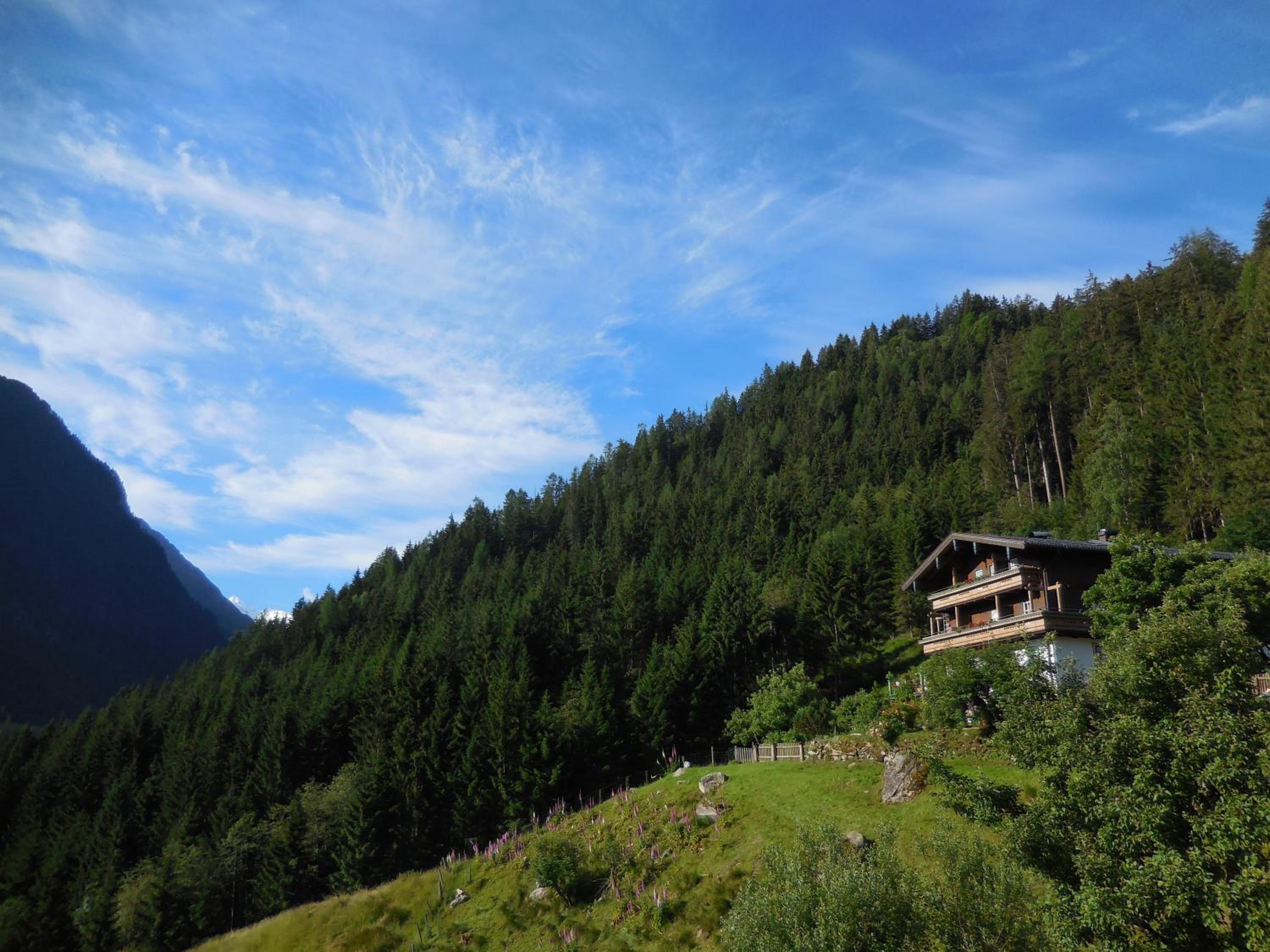 Bauernhof Oberscheffau