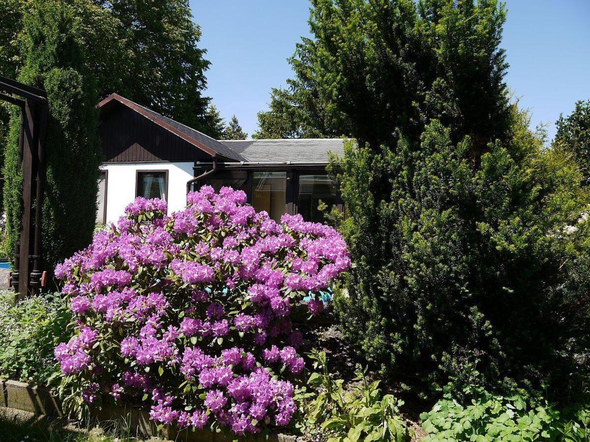 Ferienhaus-Maxen en Müglitztal — other