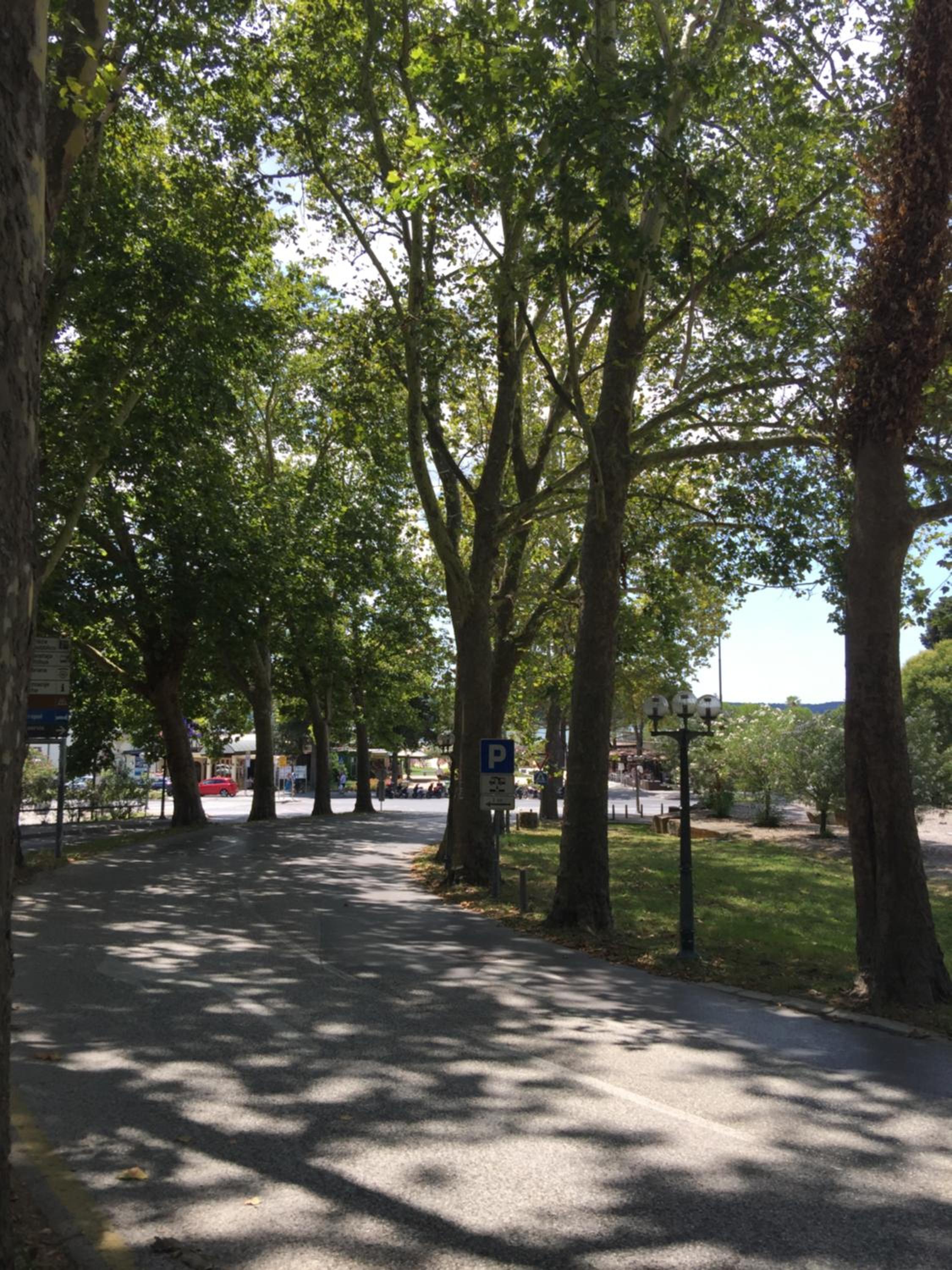 Photo 47