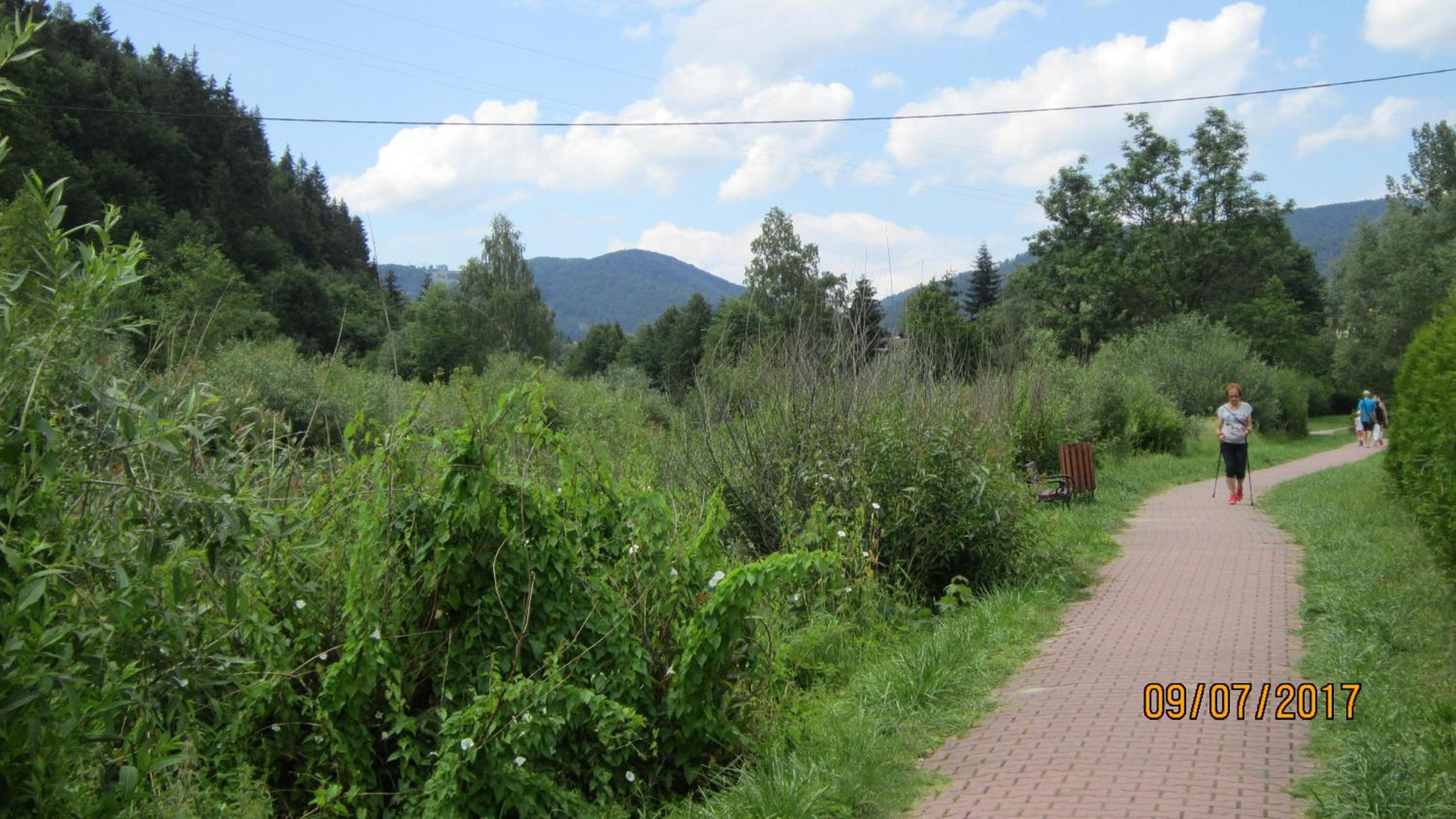 Photo 43