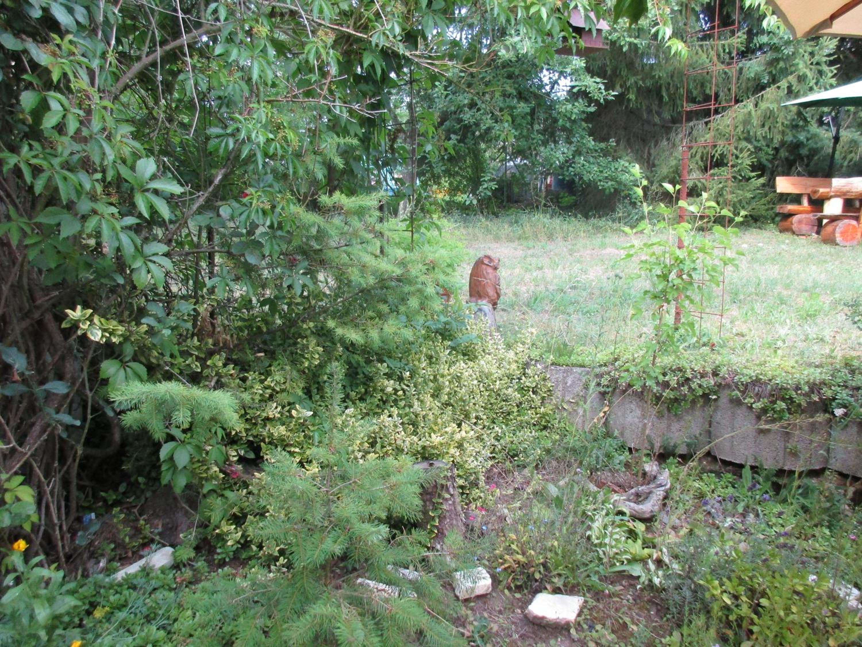Photo 27