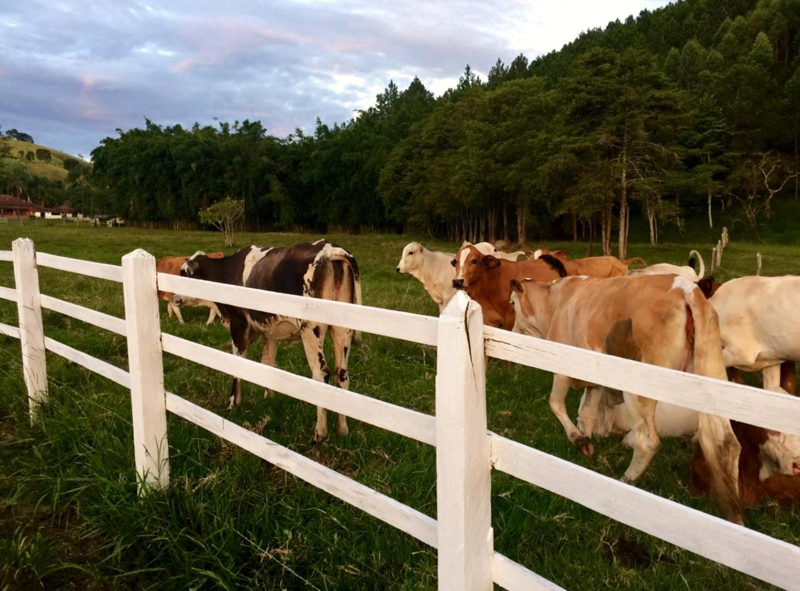Fazenda Alvorada