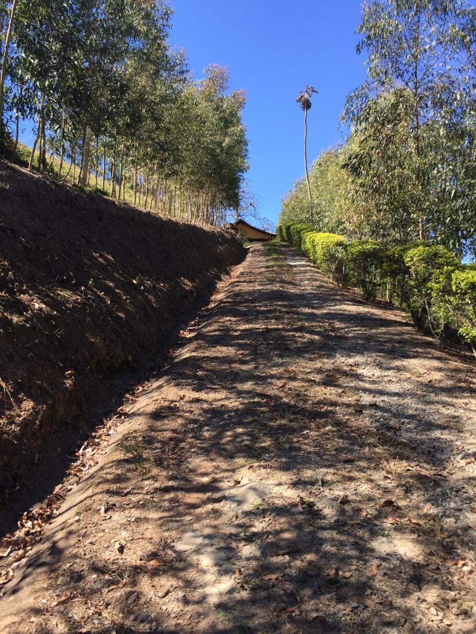 Fazenda Alvorada