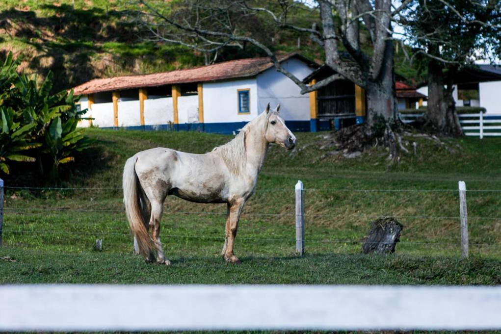 Fazenda Alvorada