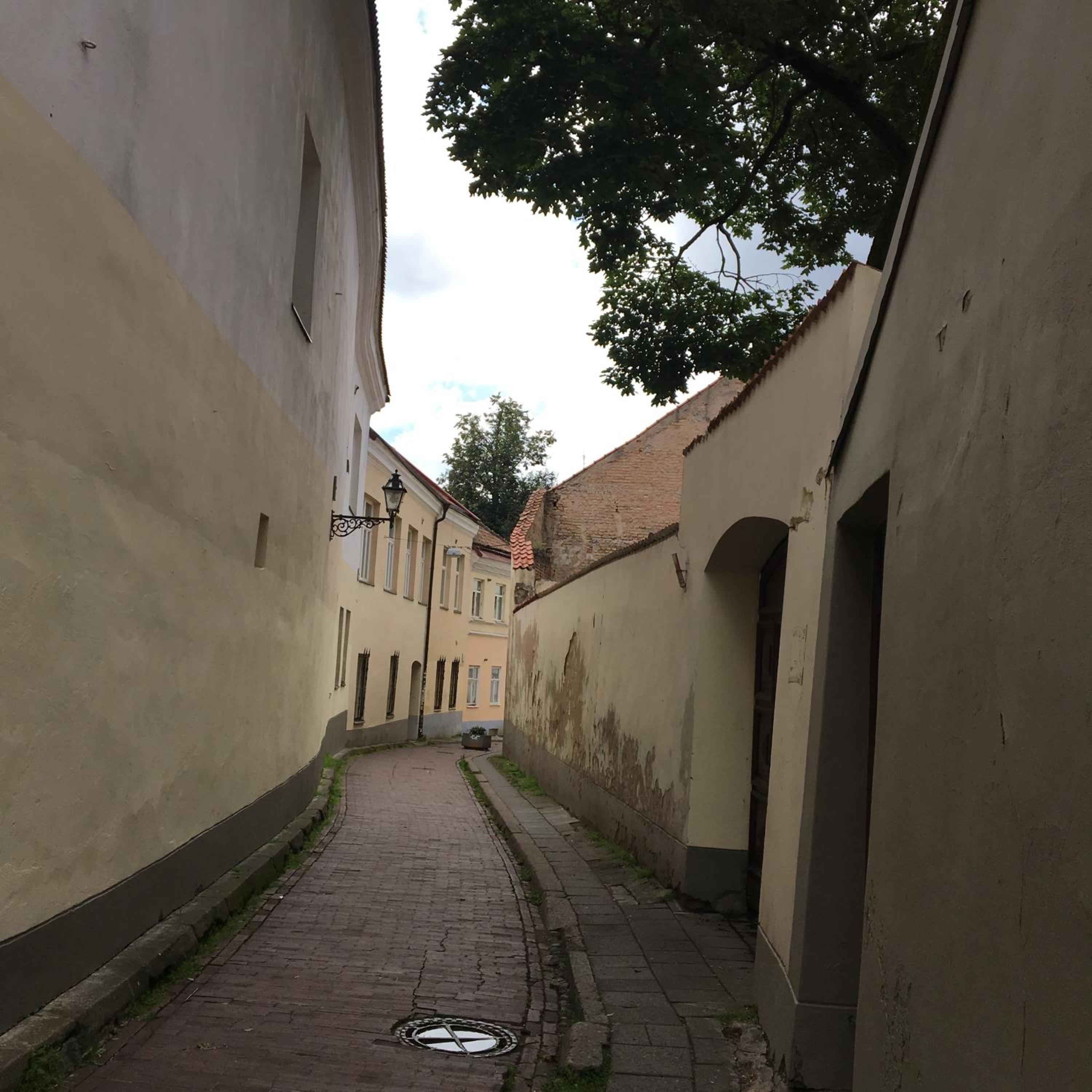 Photo 24