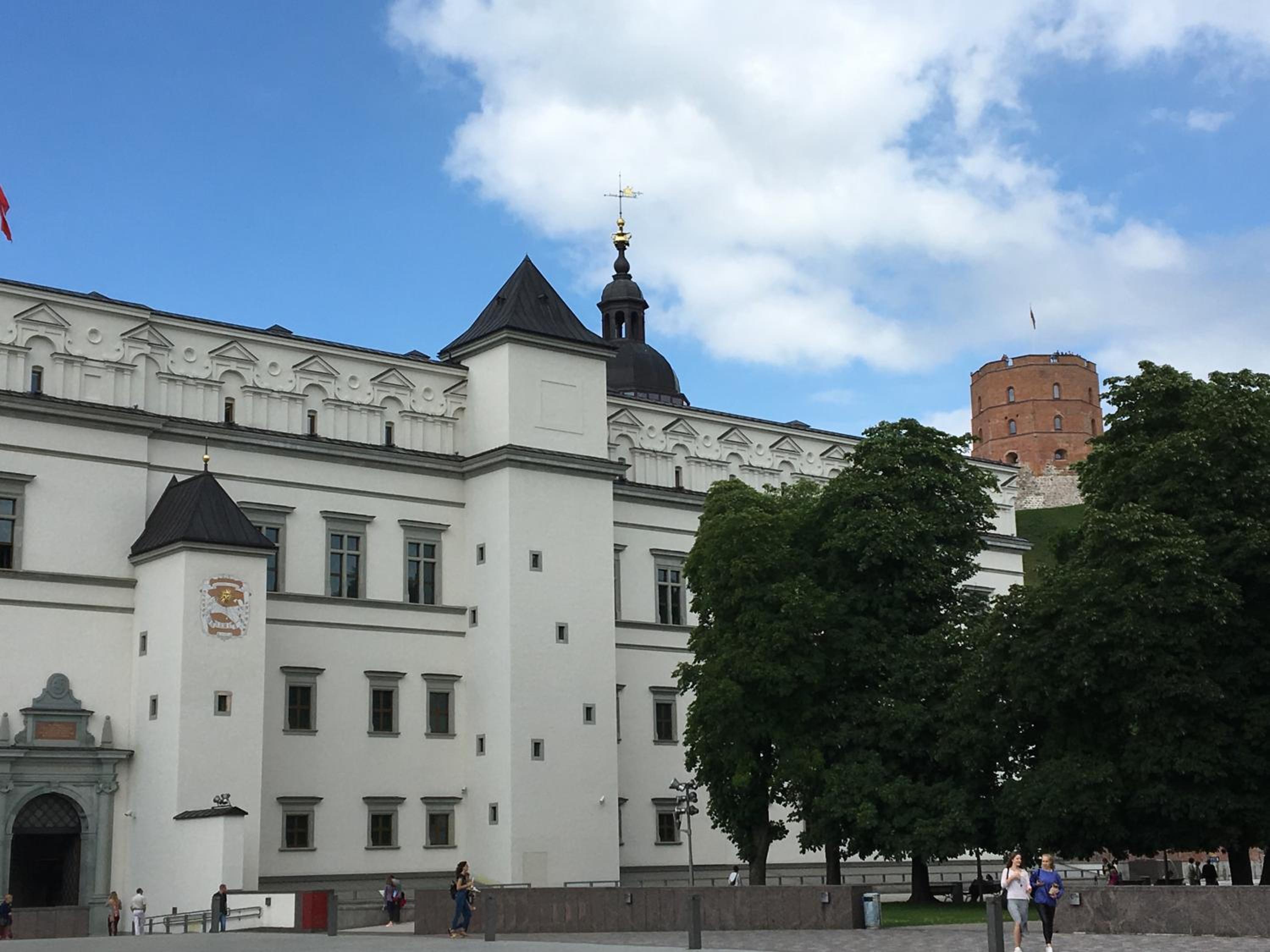 Skapas Street Vilnius view 2