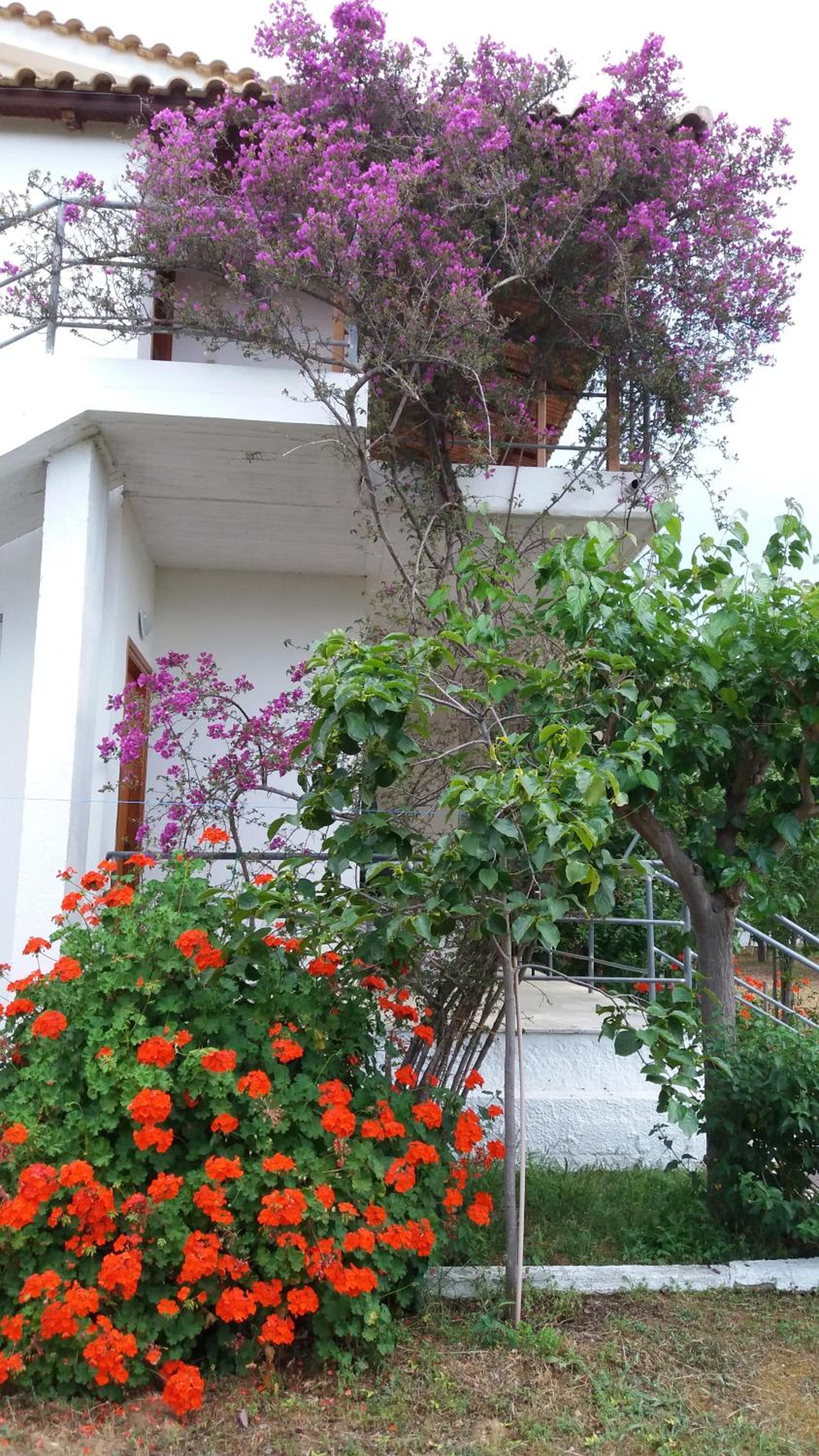 Theodore Apartments