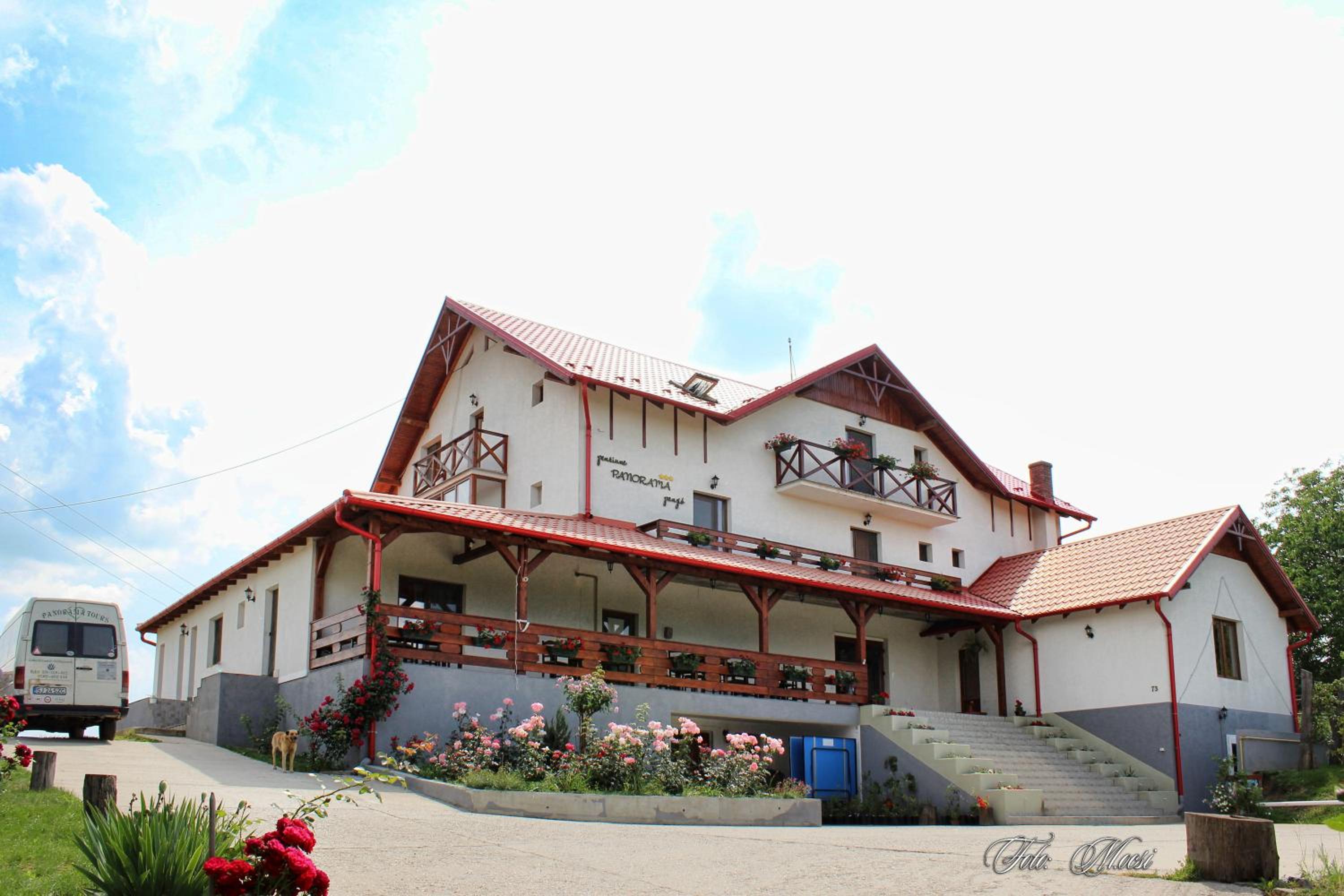 Photo 41