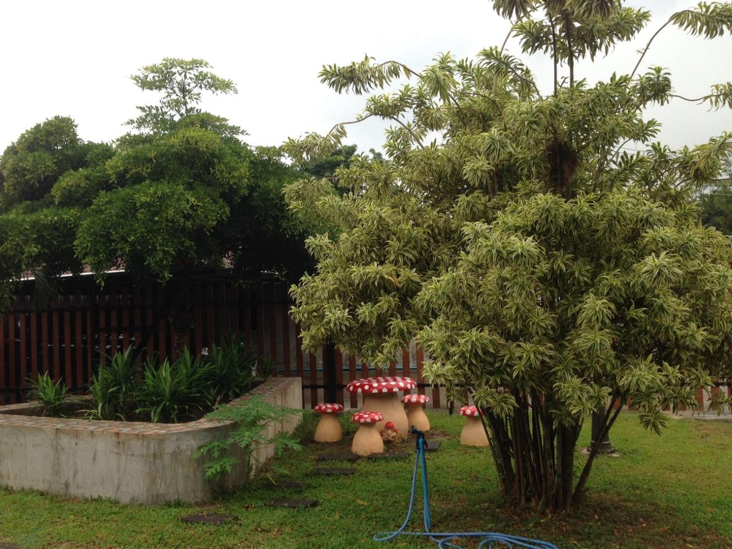 Photo 6