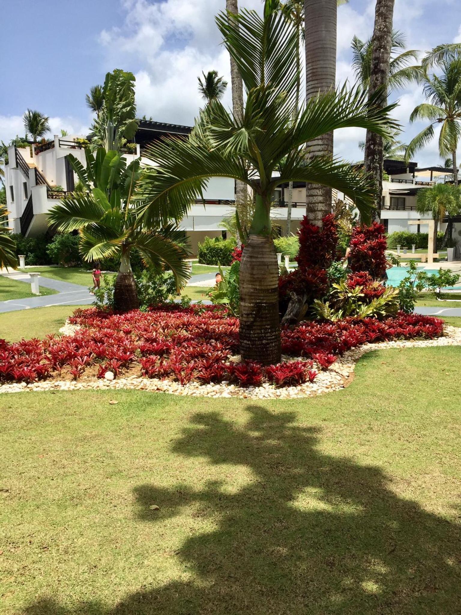 Aligio Beachfront Paradise