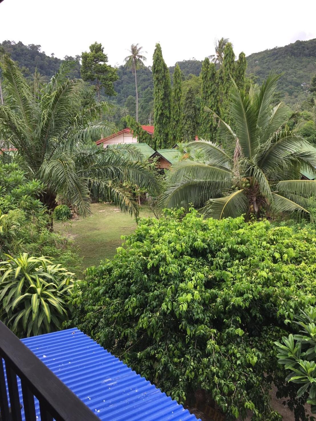 Thai Terrace Bungalow view 5