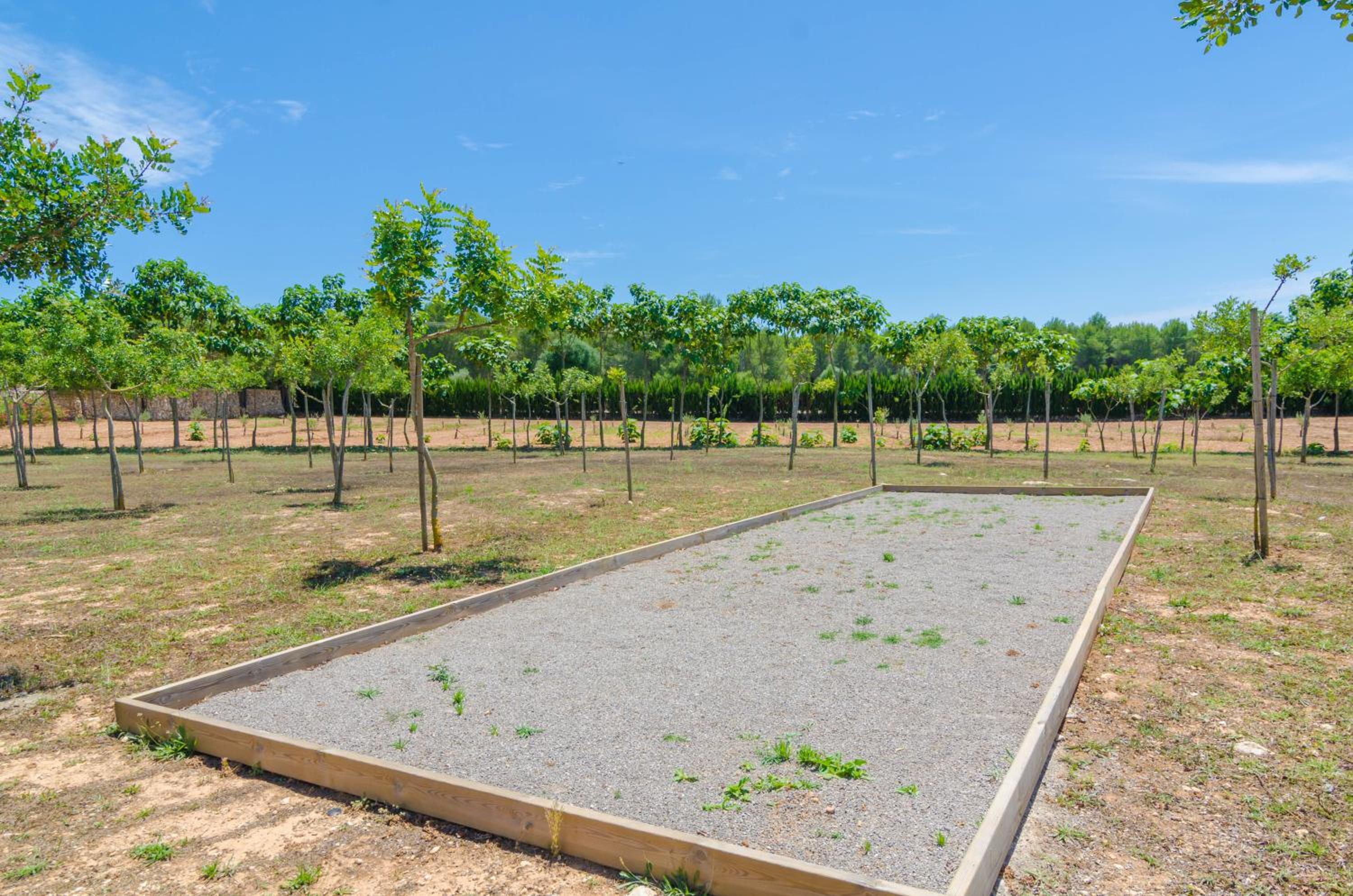 Finca Short De Conies 2