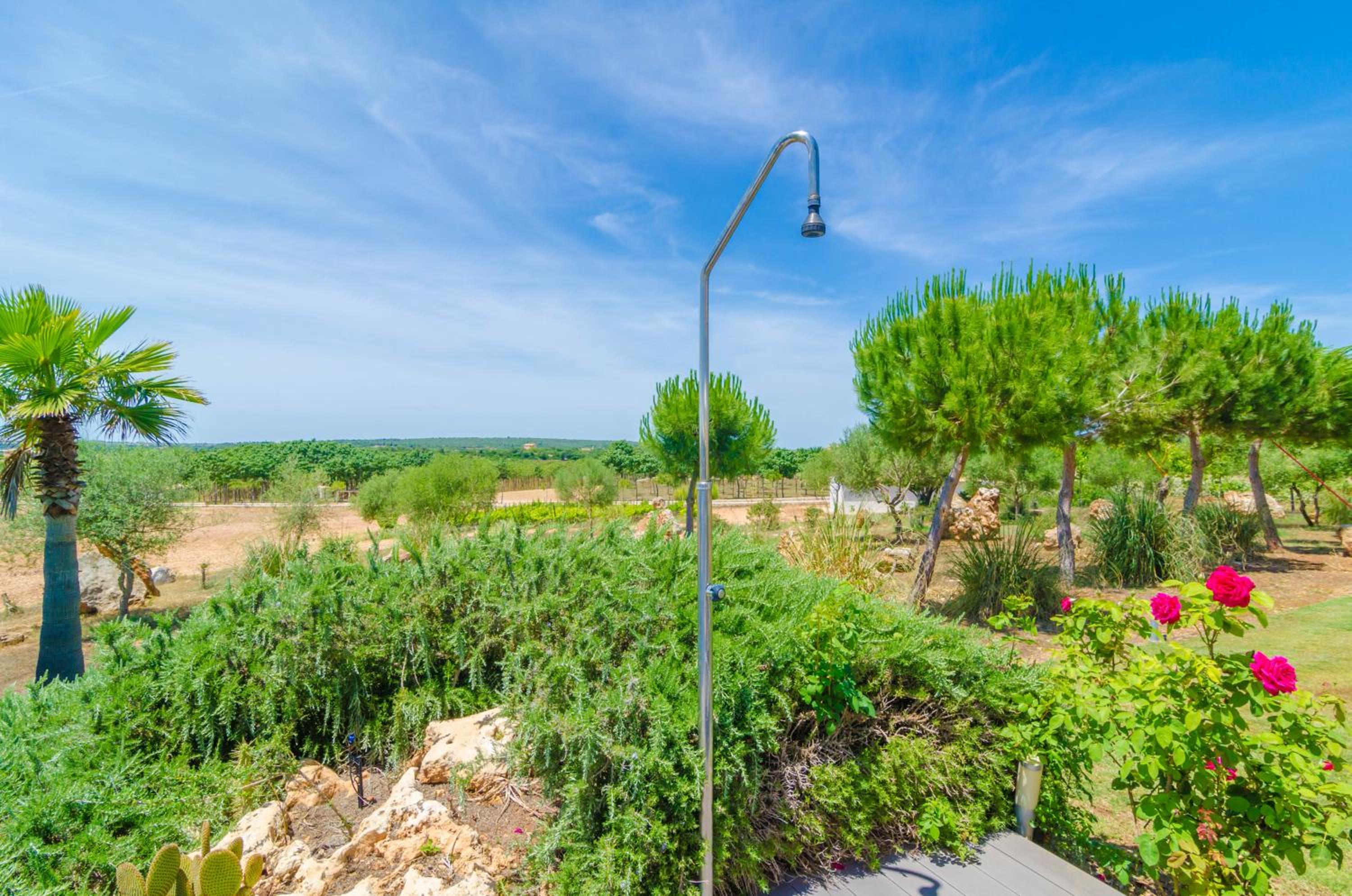Finca Short De Conies 2