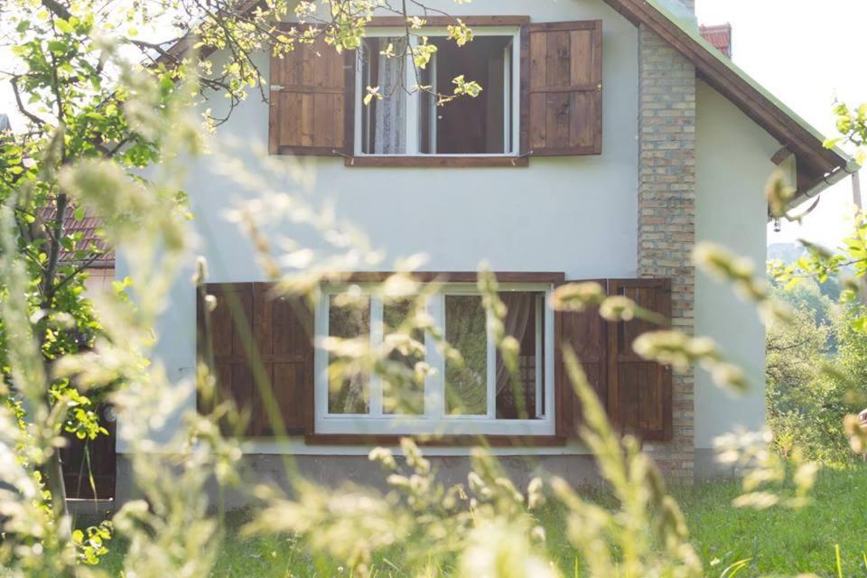 Casa Bunicii - Bran Sohodol view 3