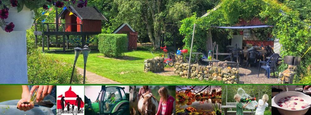 Hotel Stutteri Skandihest Apartments - Image 1