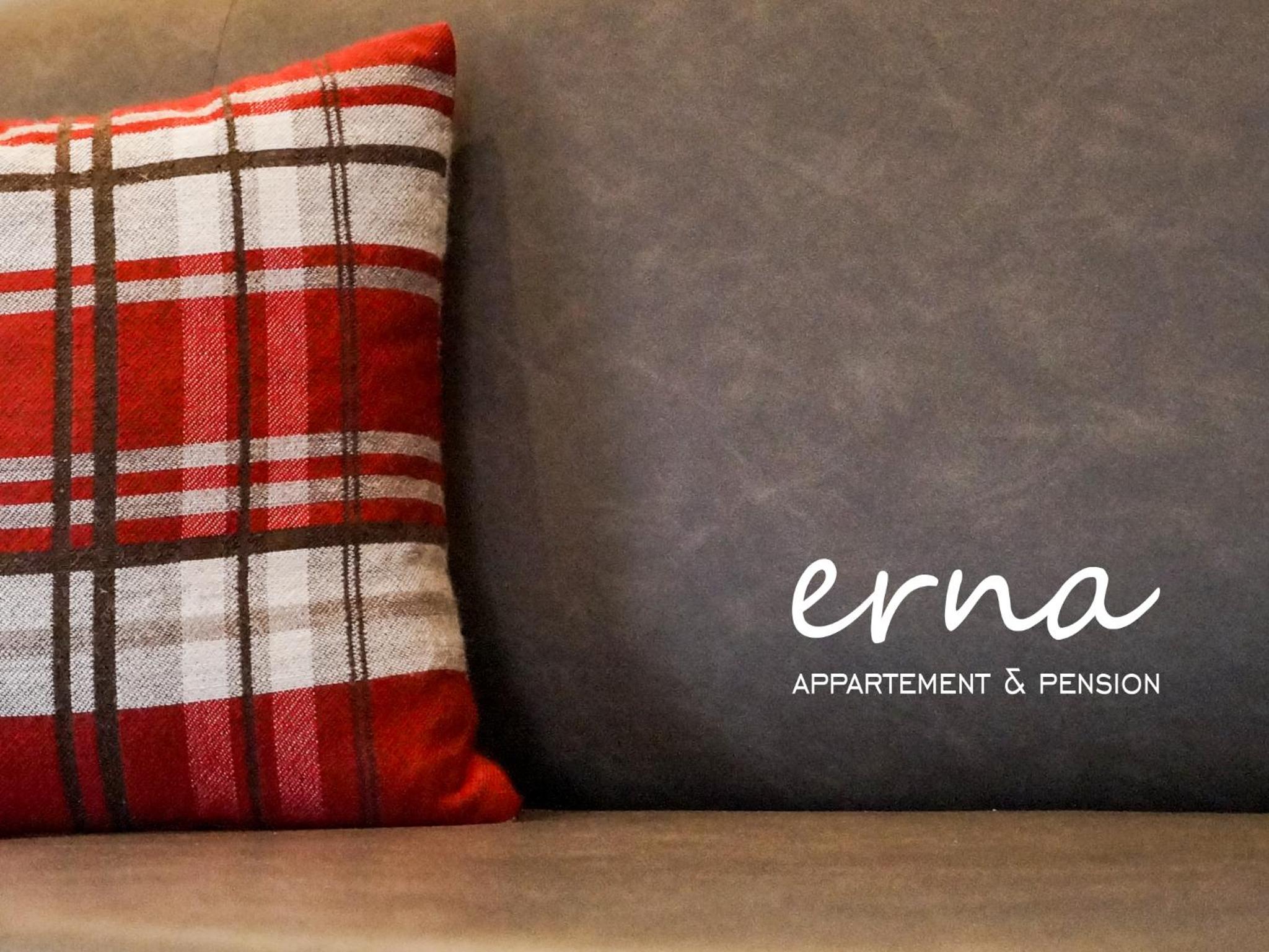 Pension Apartment Erna photo 3