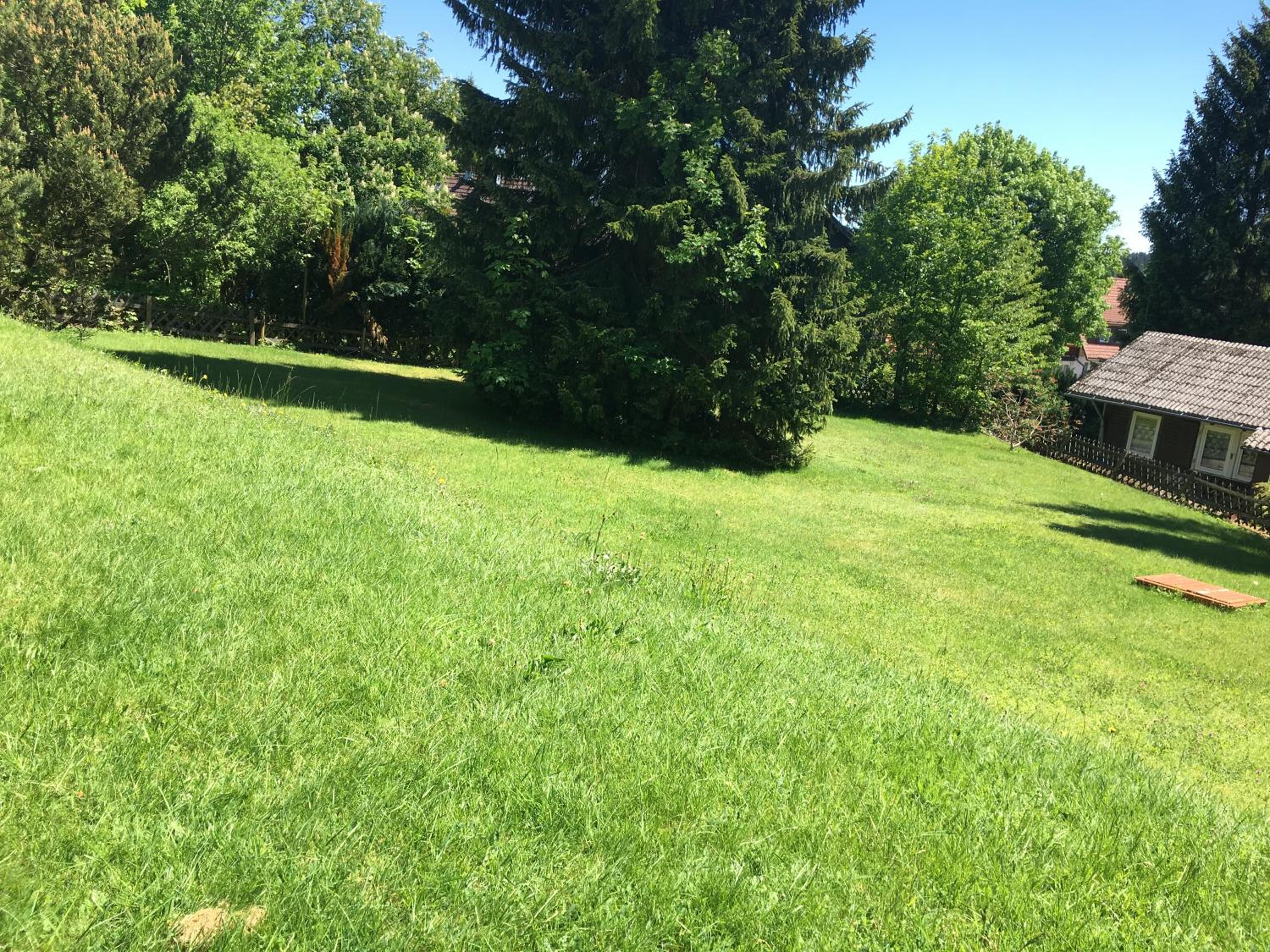 Ferienwohnung Harzsonne