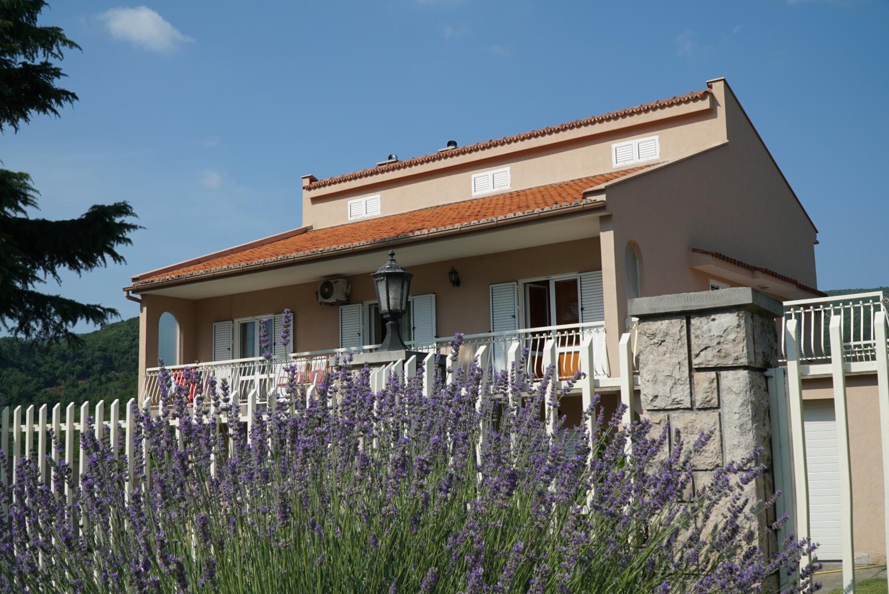 Apartments Raskovic view 3
