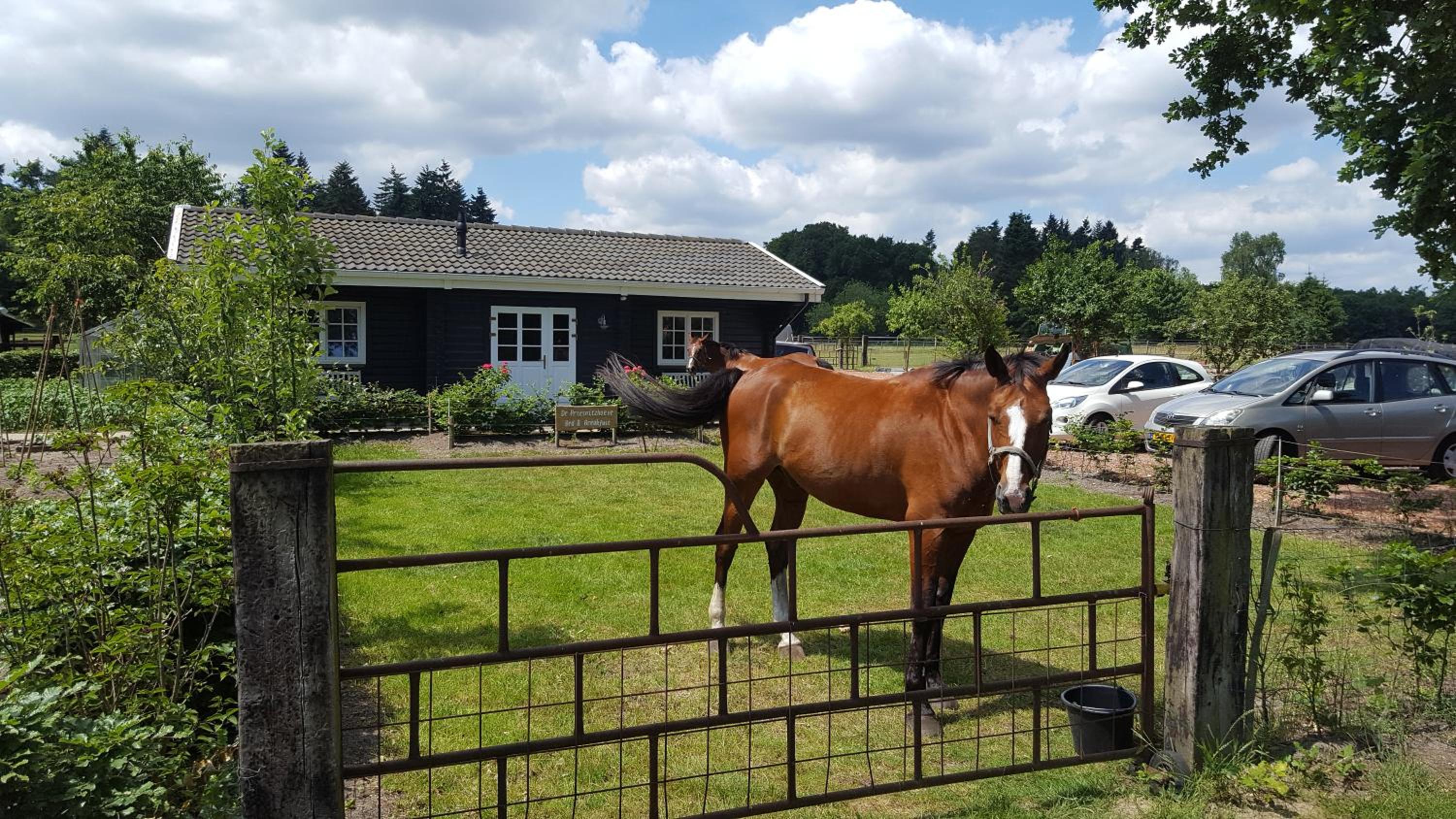 Hotel De Priesnitzhoeve - Image 1