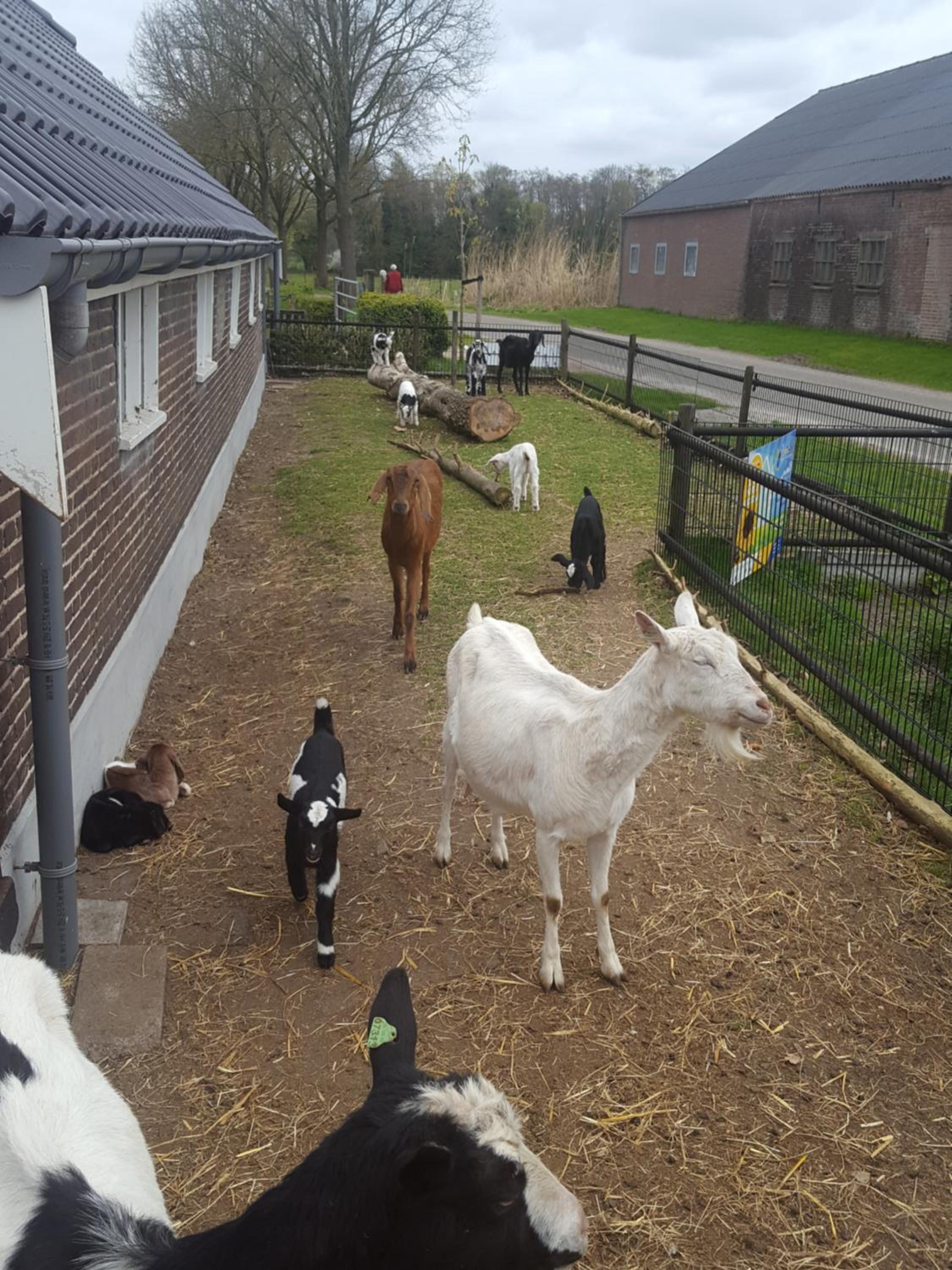 De Priesnitzhoeve