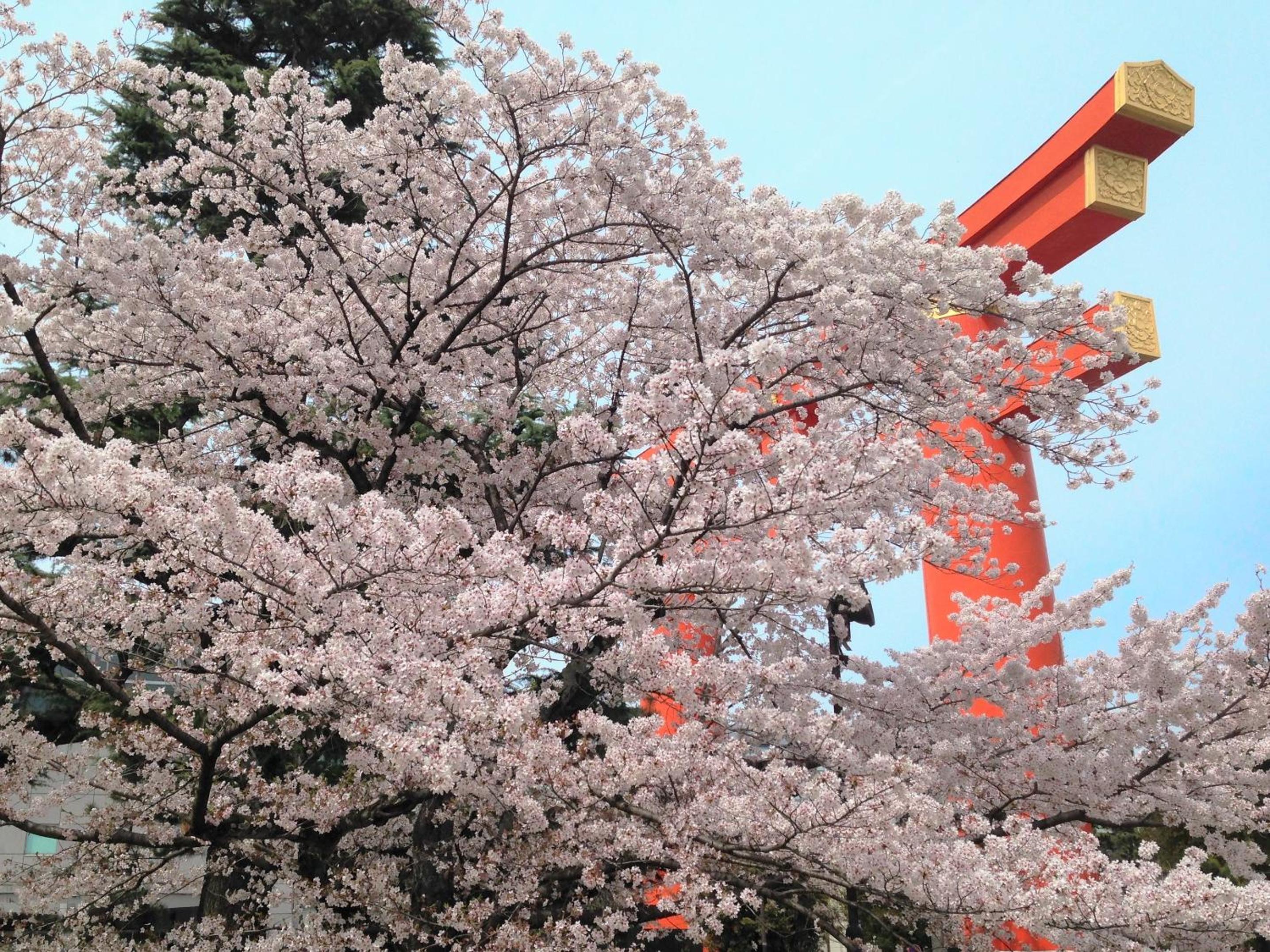 OKI's Inn