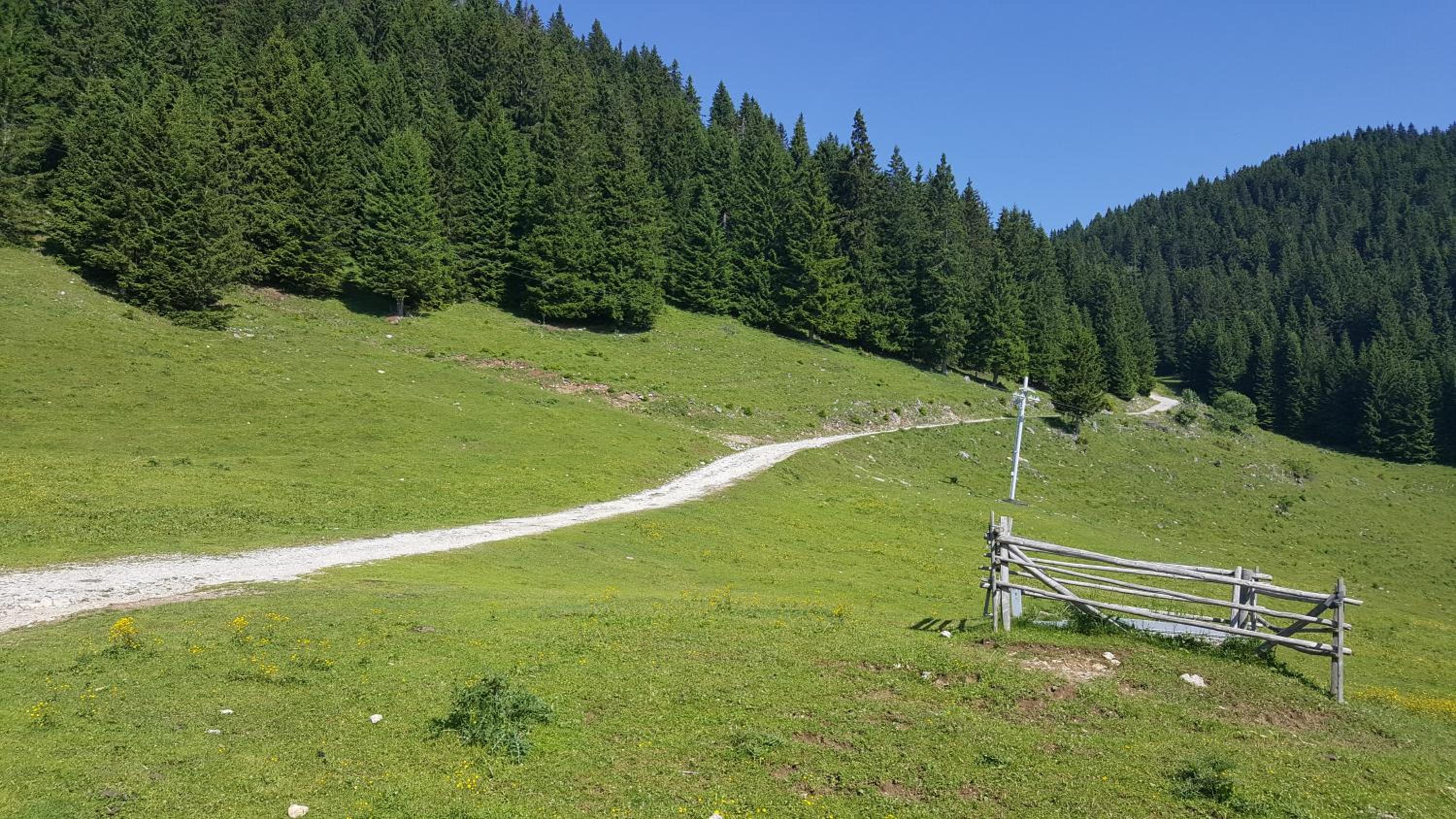 Apartmaji Golob-Golte