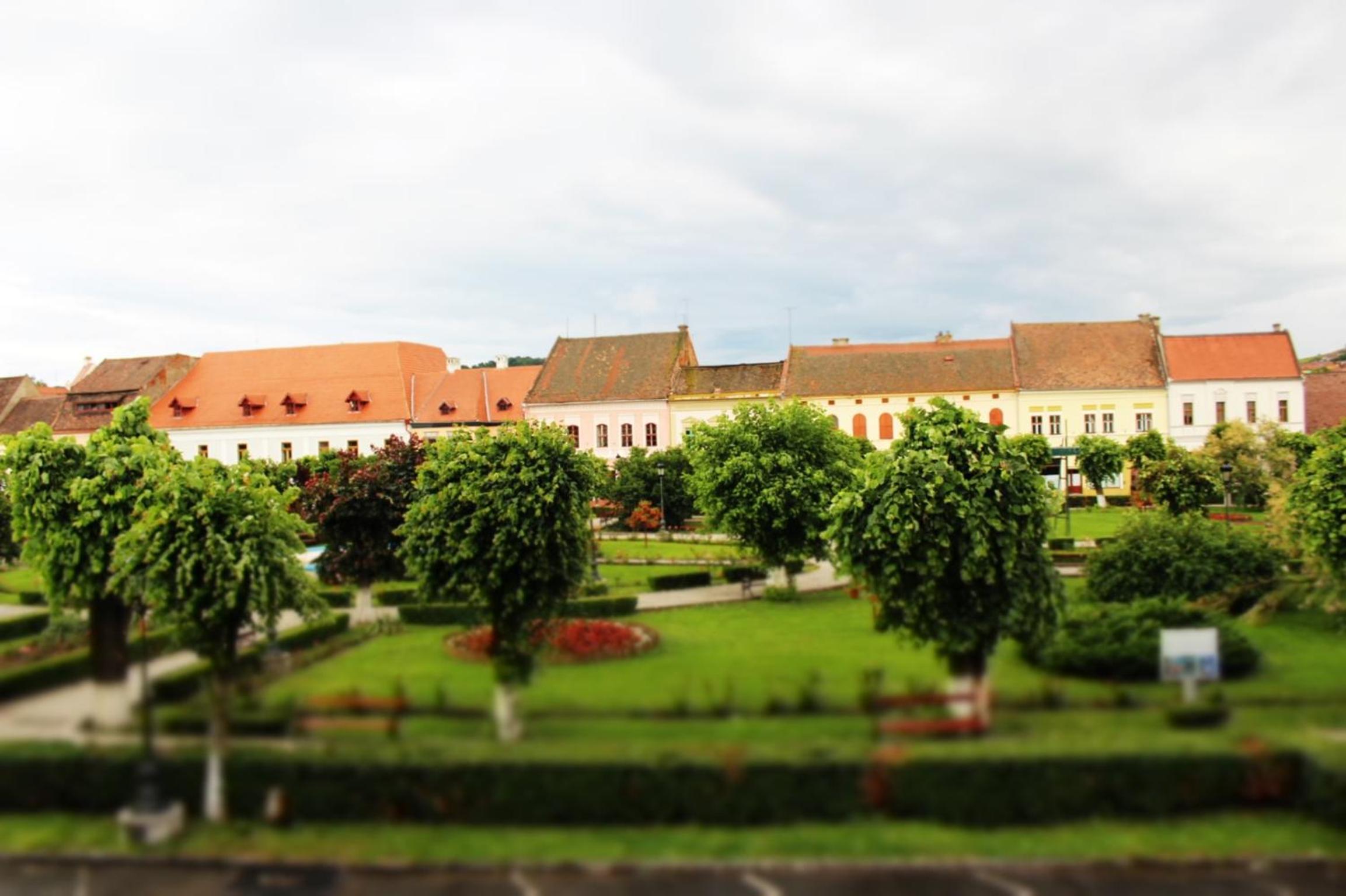 Photo 26