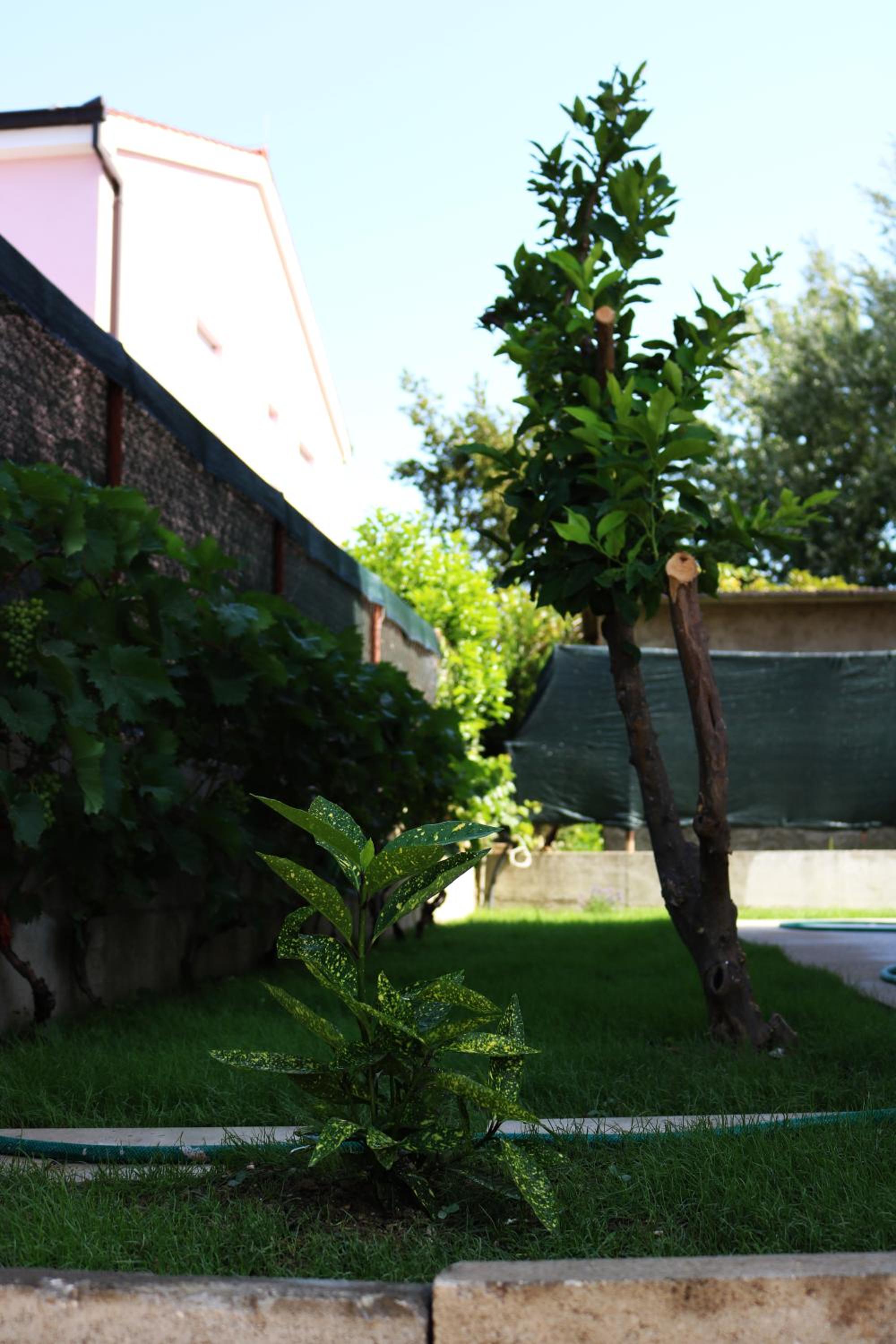 Photo 36