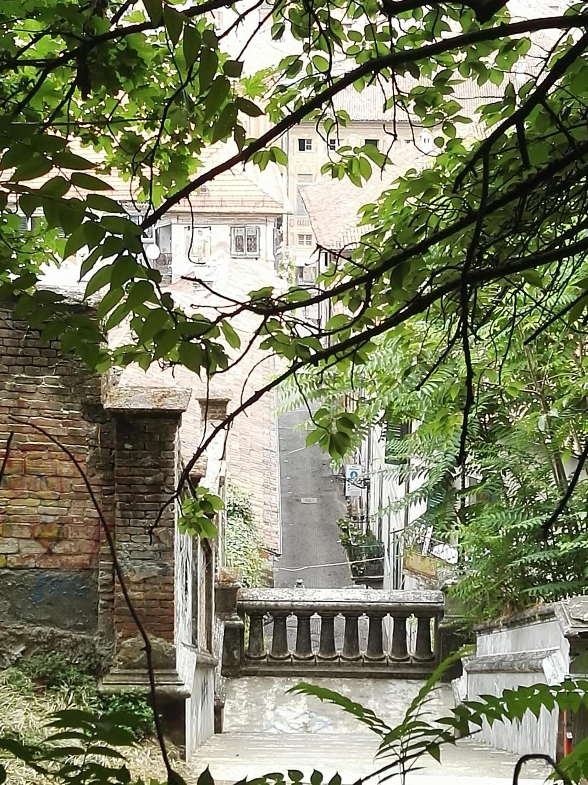 La Casa sul Giardino photo 5