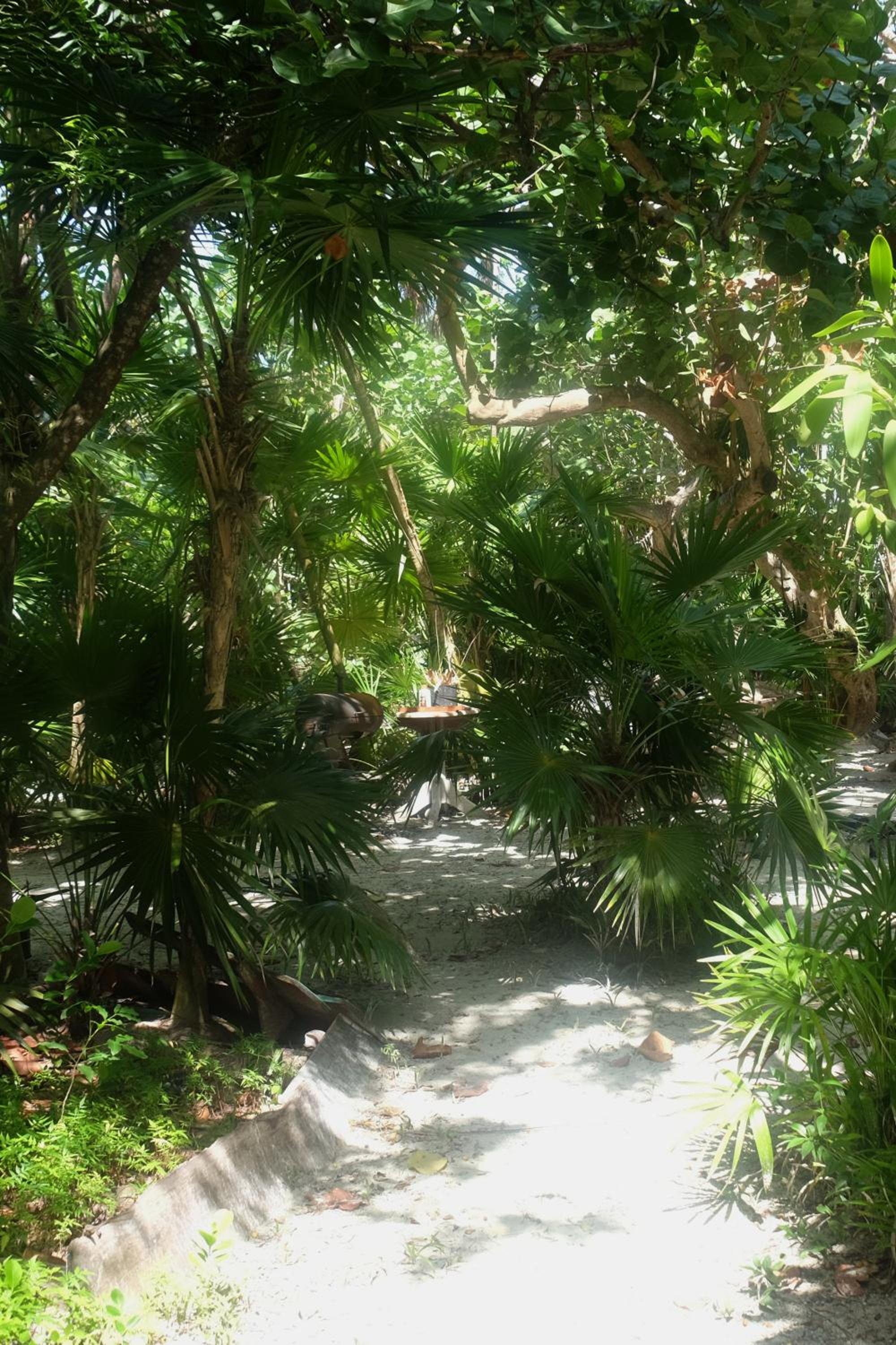 Jungle Cocoon