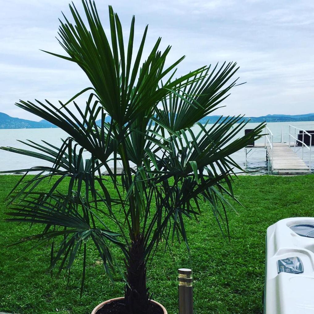 The Lake House view 5