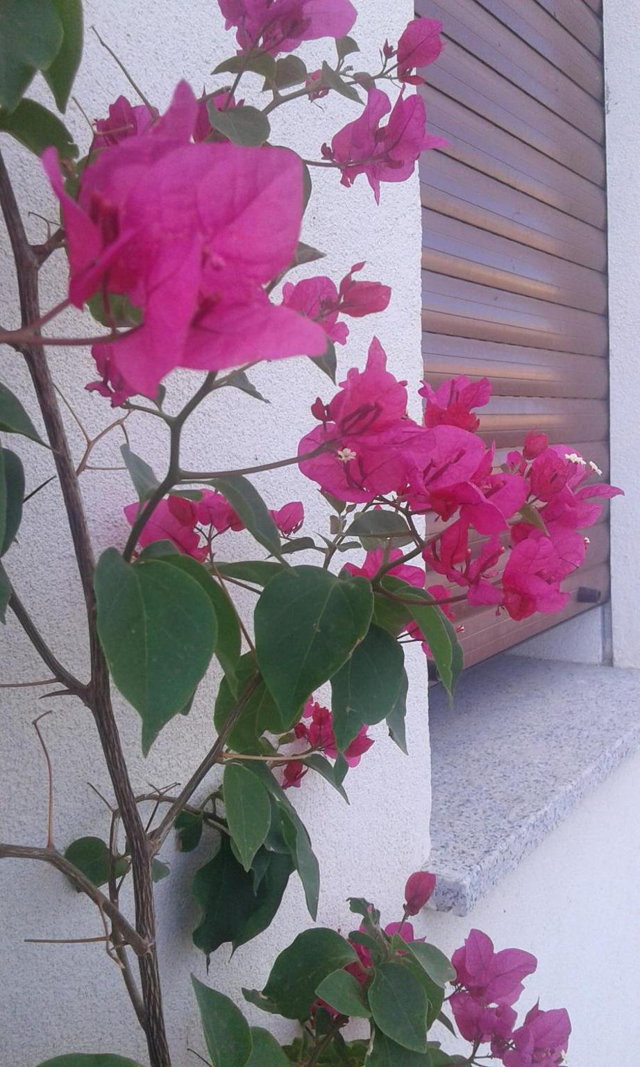 Alma Bed & Breakfast 15 minuti da Bosa e comodo parcheggio