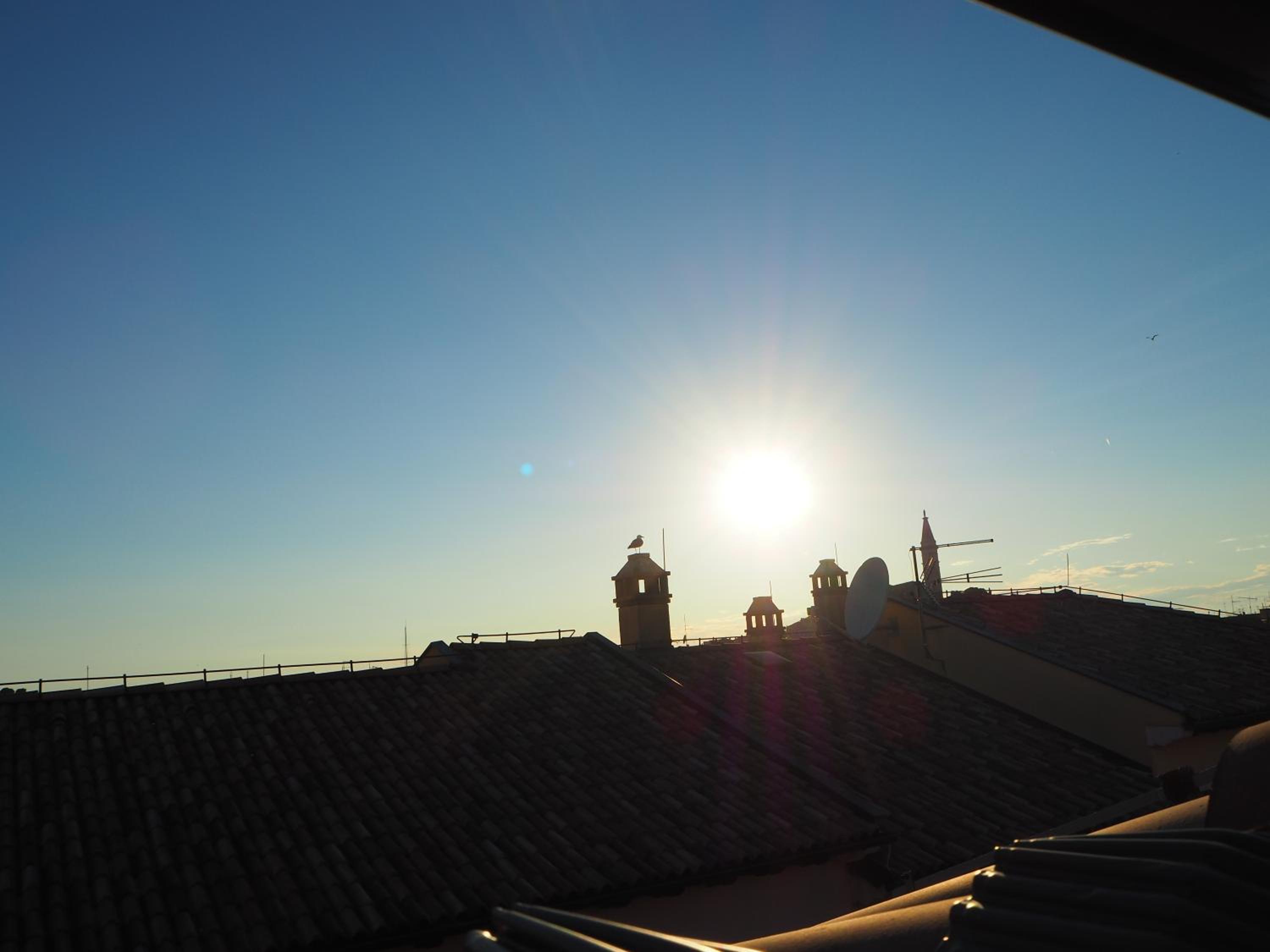 roof
