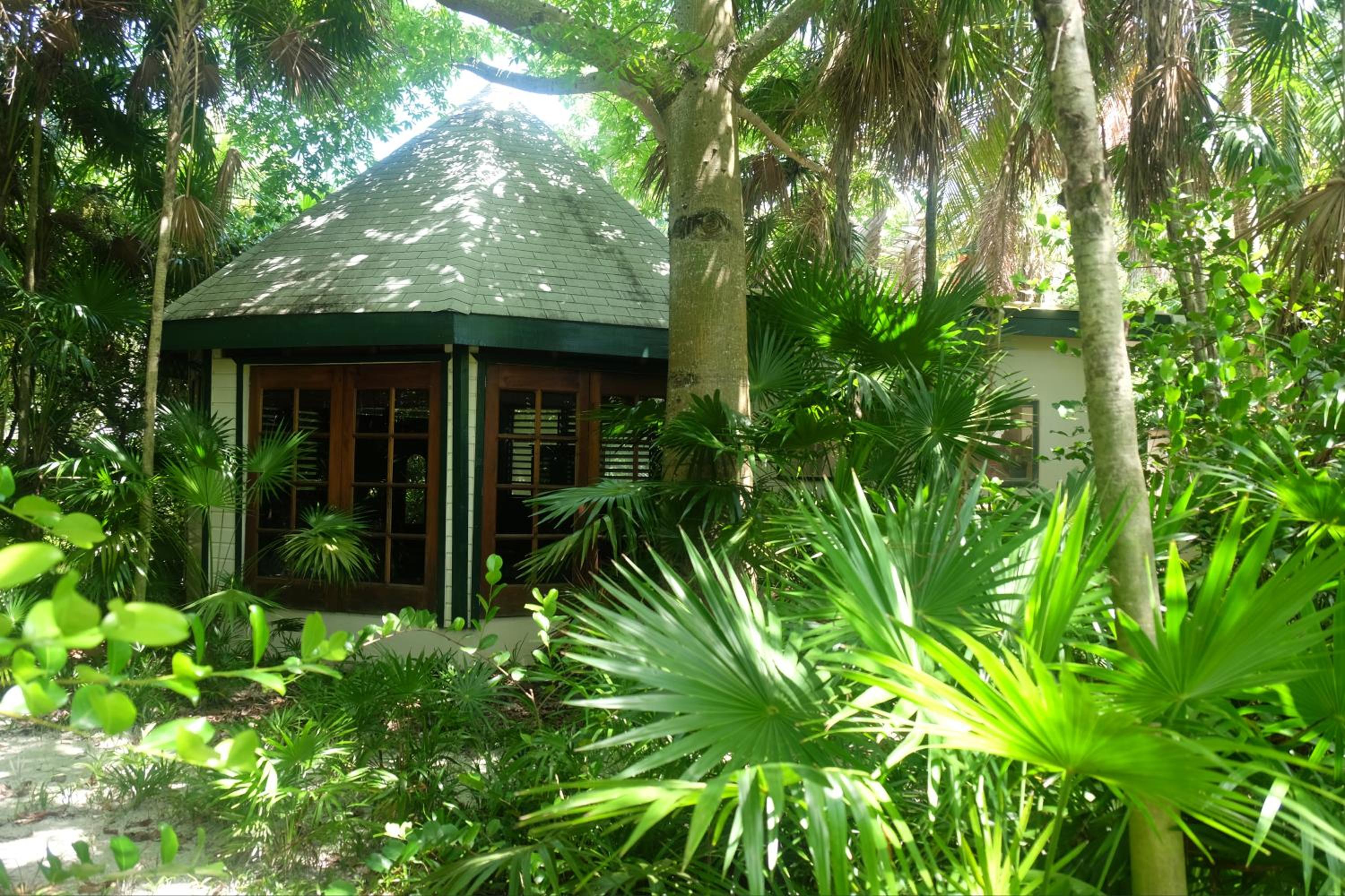 Jungle Cocoon