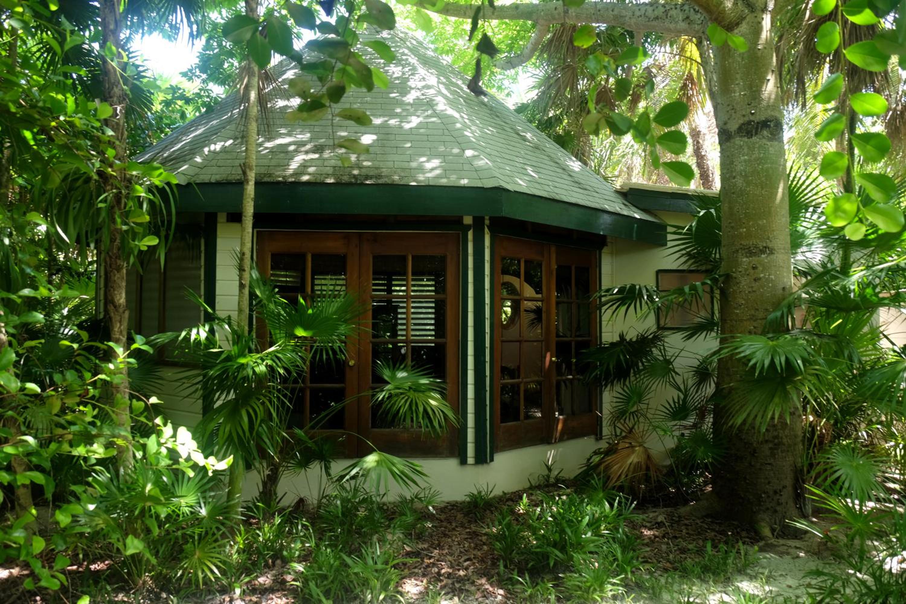 Jungle Cocoon
