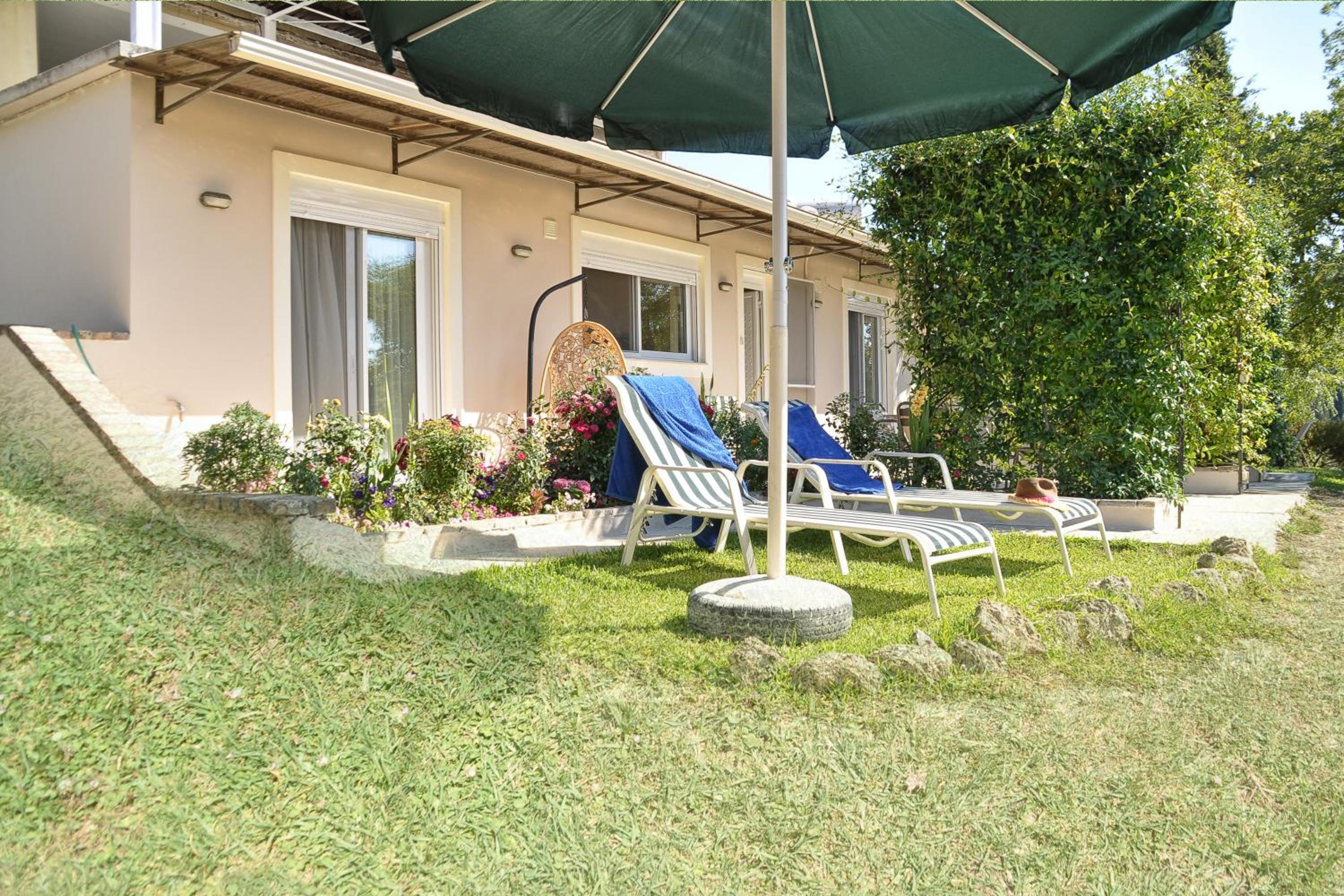 Olga's Hill view 5