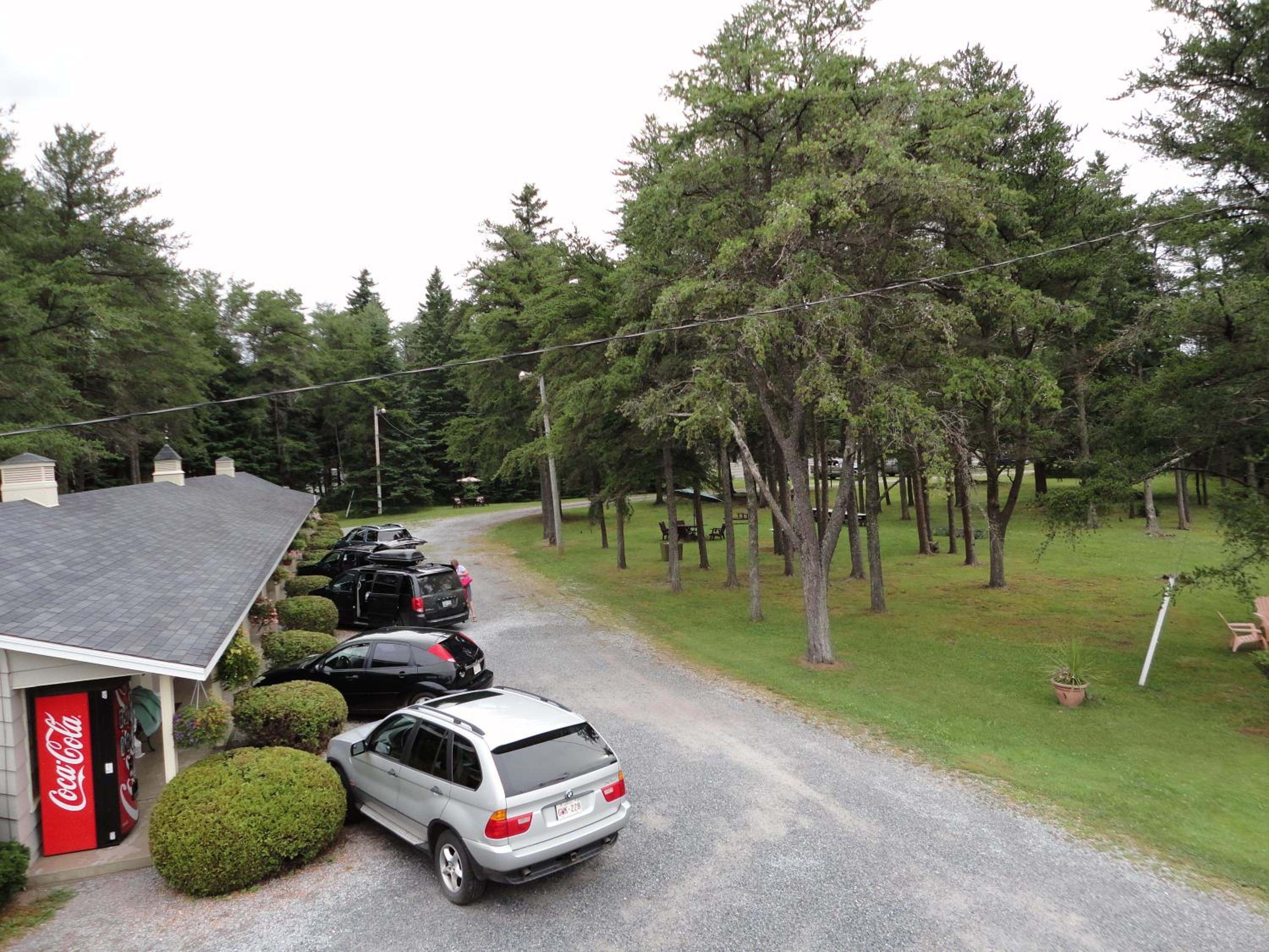 Pinecone Motel