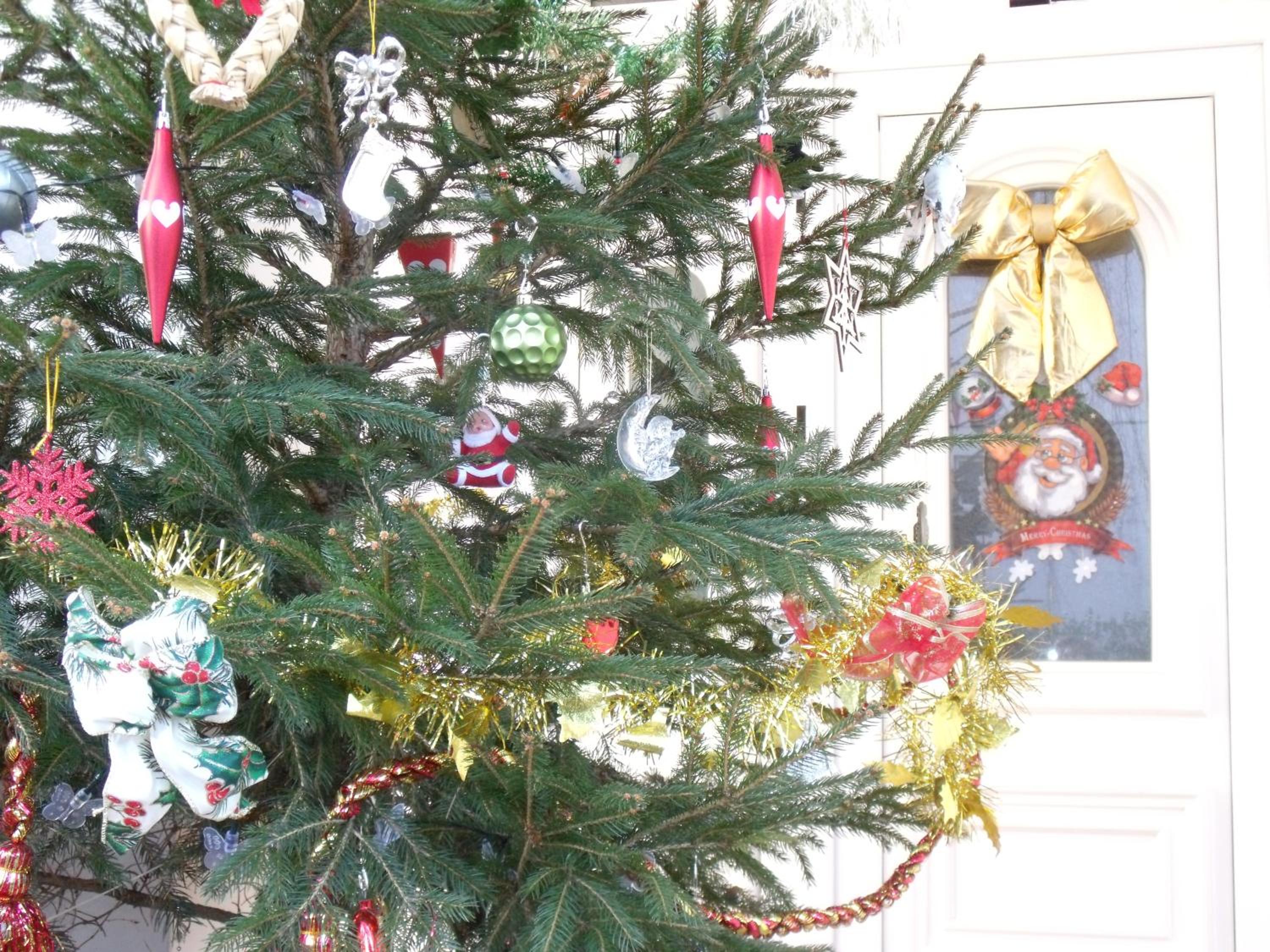 Photo 6