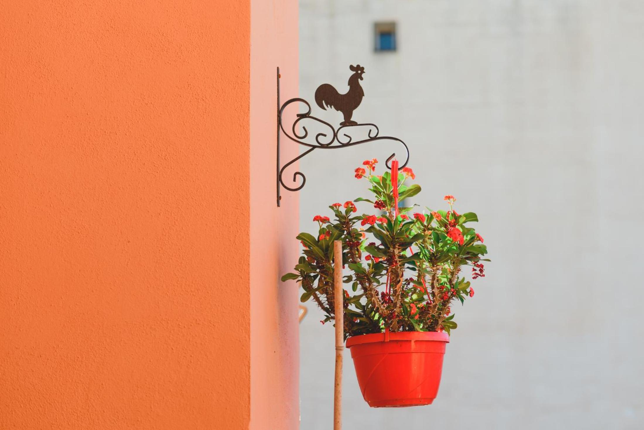Bellini Home B&B